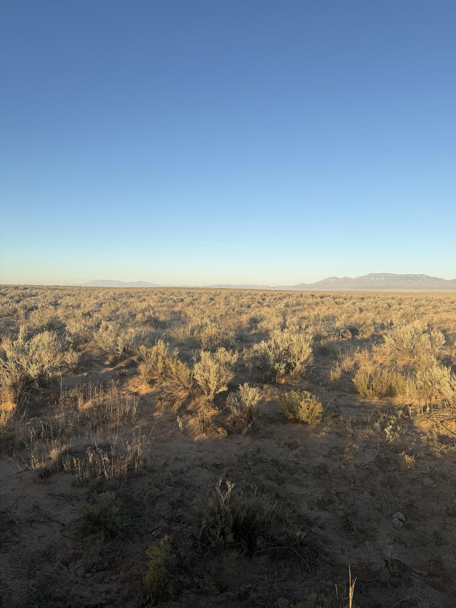 Photo 13 — Block 1415 Rio Grande Estate Lot 12,13,14