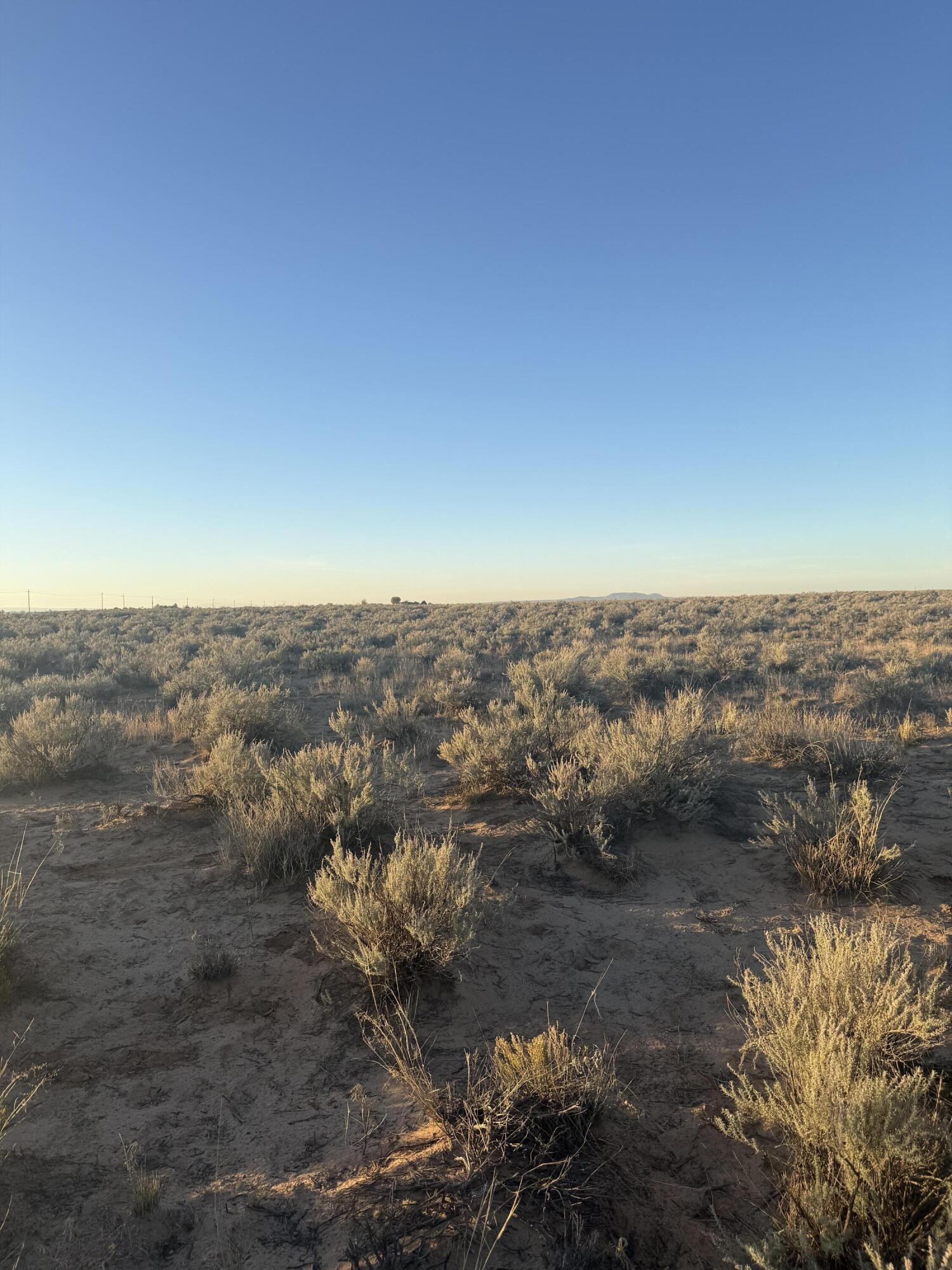 Photo 14 — Block 1415 Rio Grande Estate Lot 12,13,14