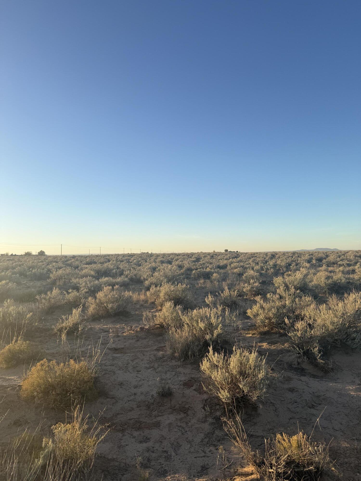 Photo 16 — Block 1415 Rio Grande Estate Lot 12,13,14