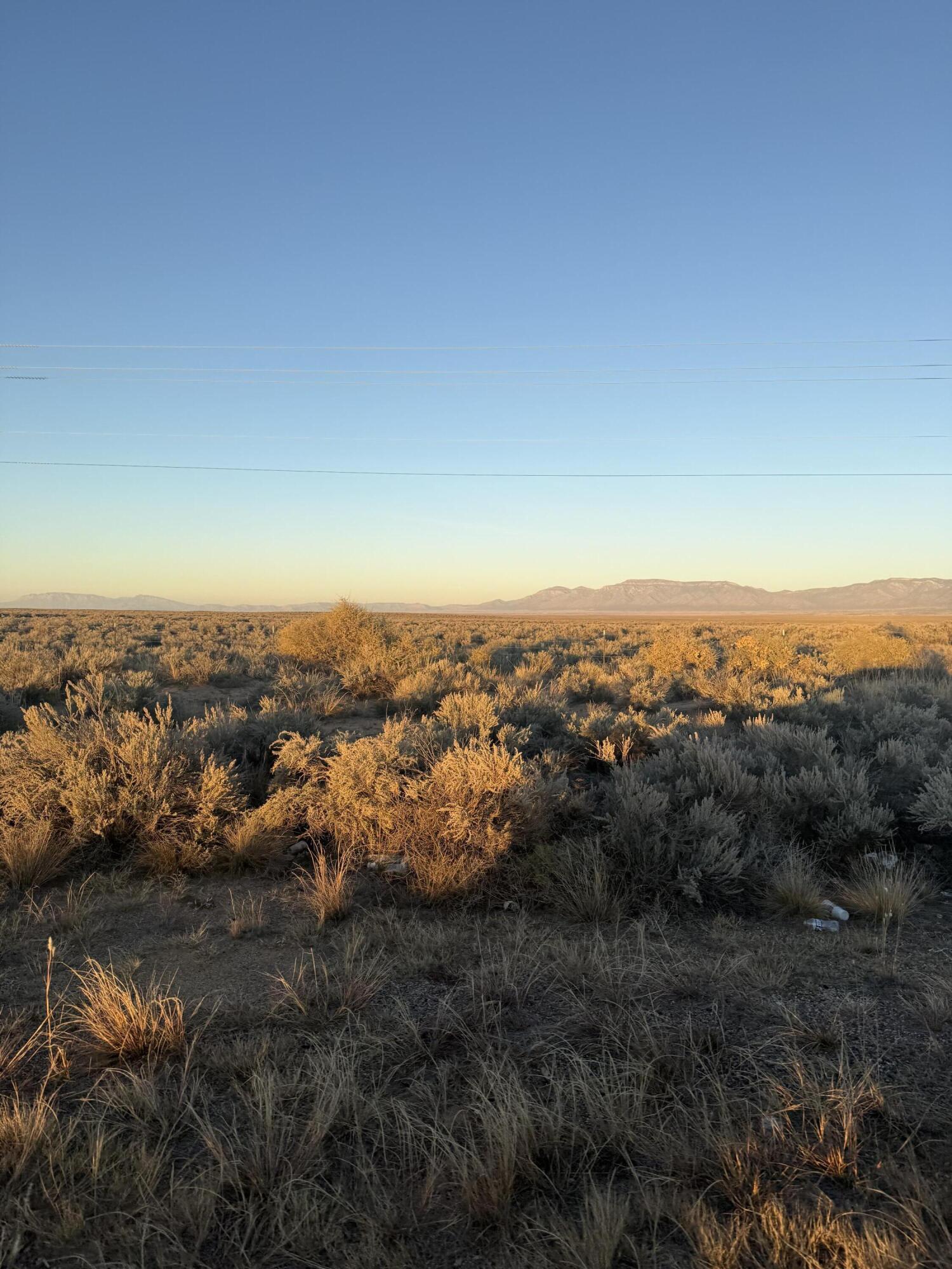 Photo 2 — Block 1415 Rio Grande Estate Lot 12,13,14