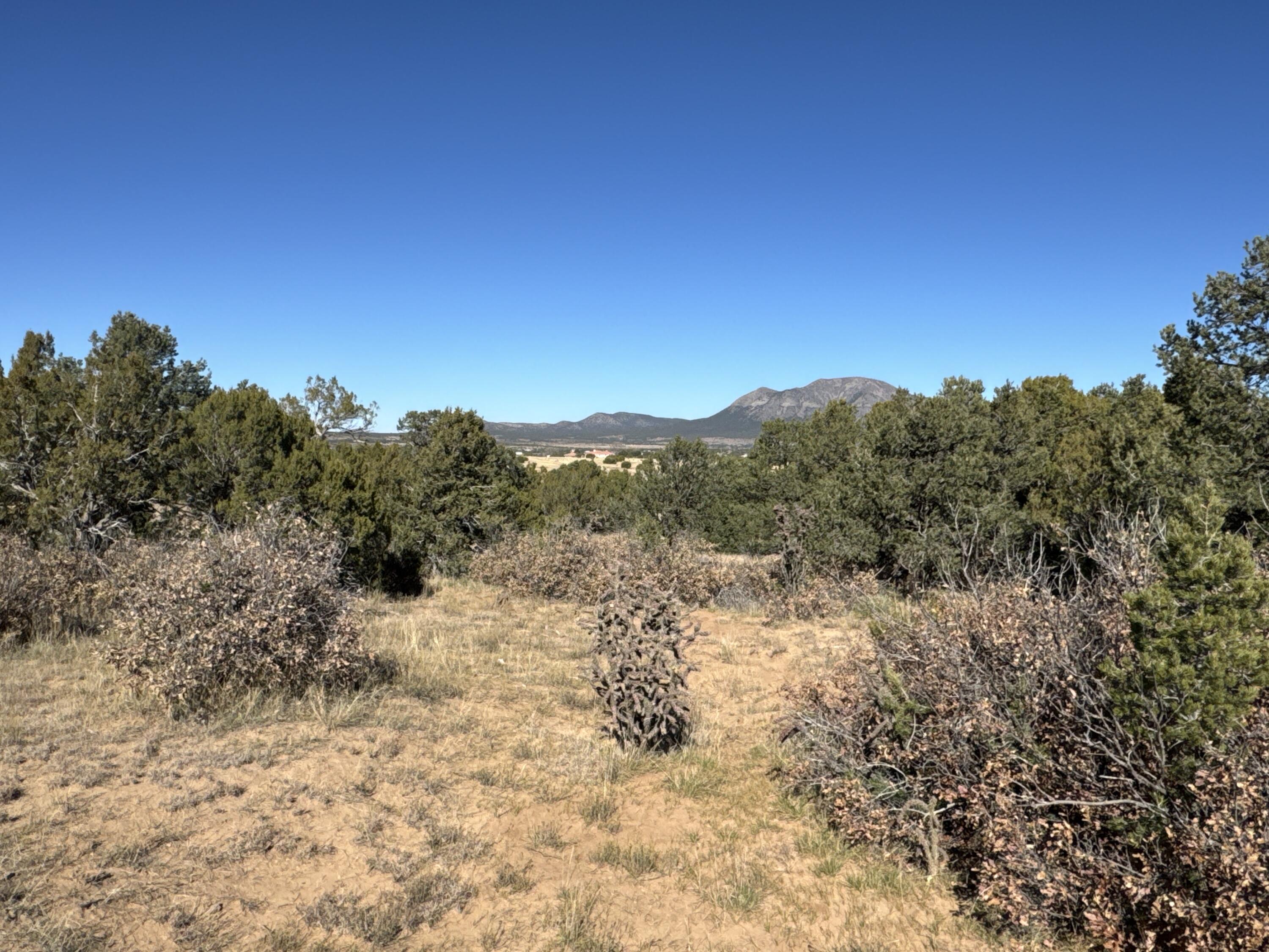 Photo 6 — Lot 254 Bolivar Loop