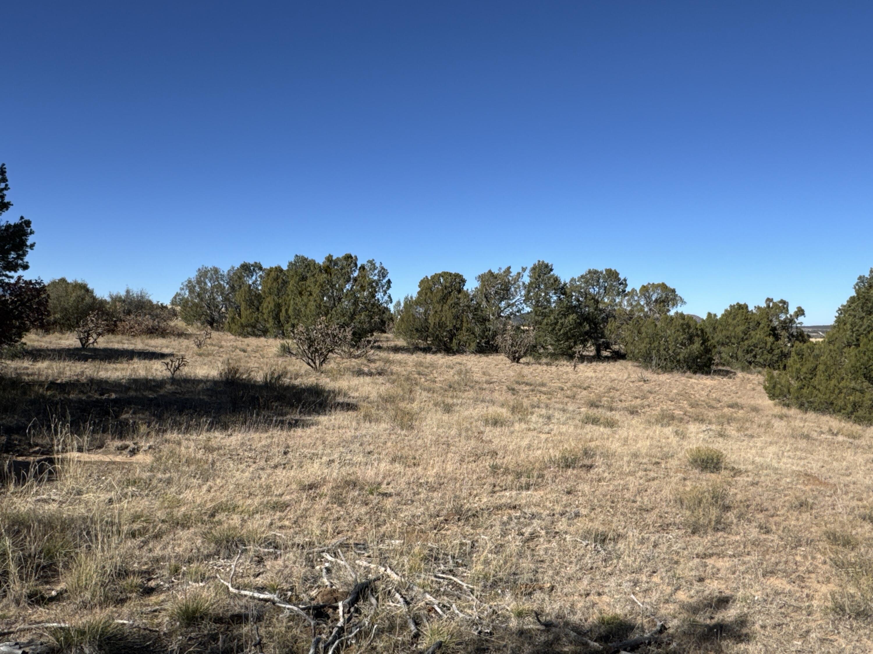 Photo 7 — Lot 254 Bolivar Loop