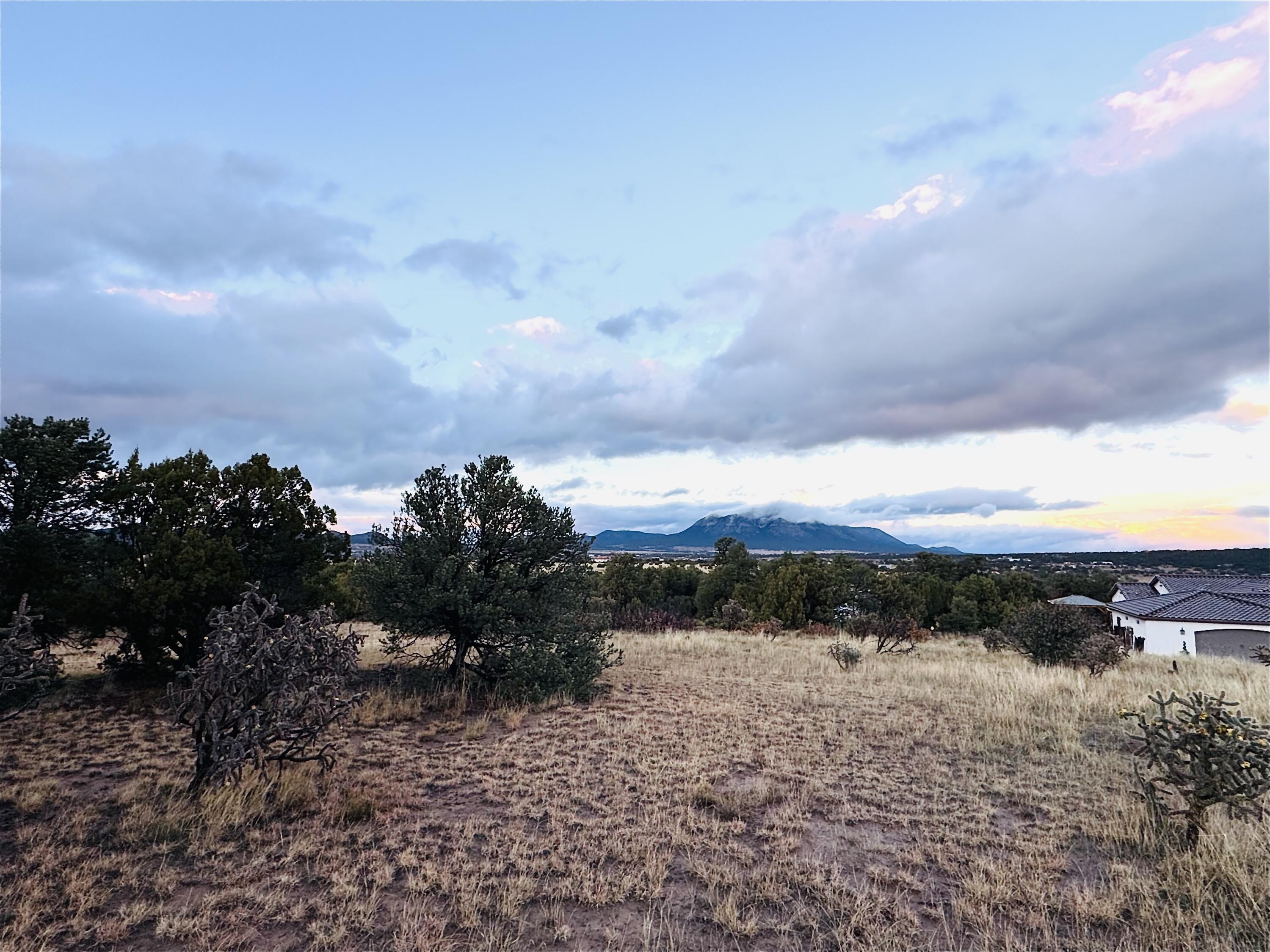 Photo 8 — Lot 254 Bolivar Loop