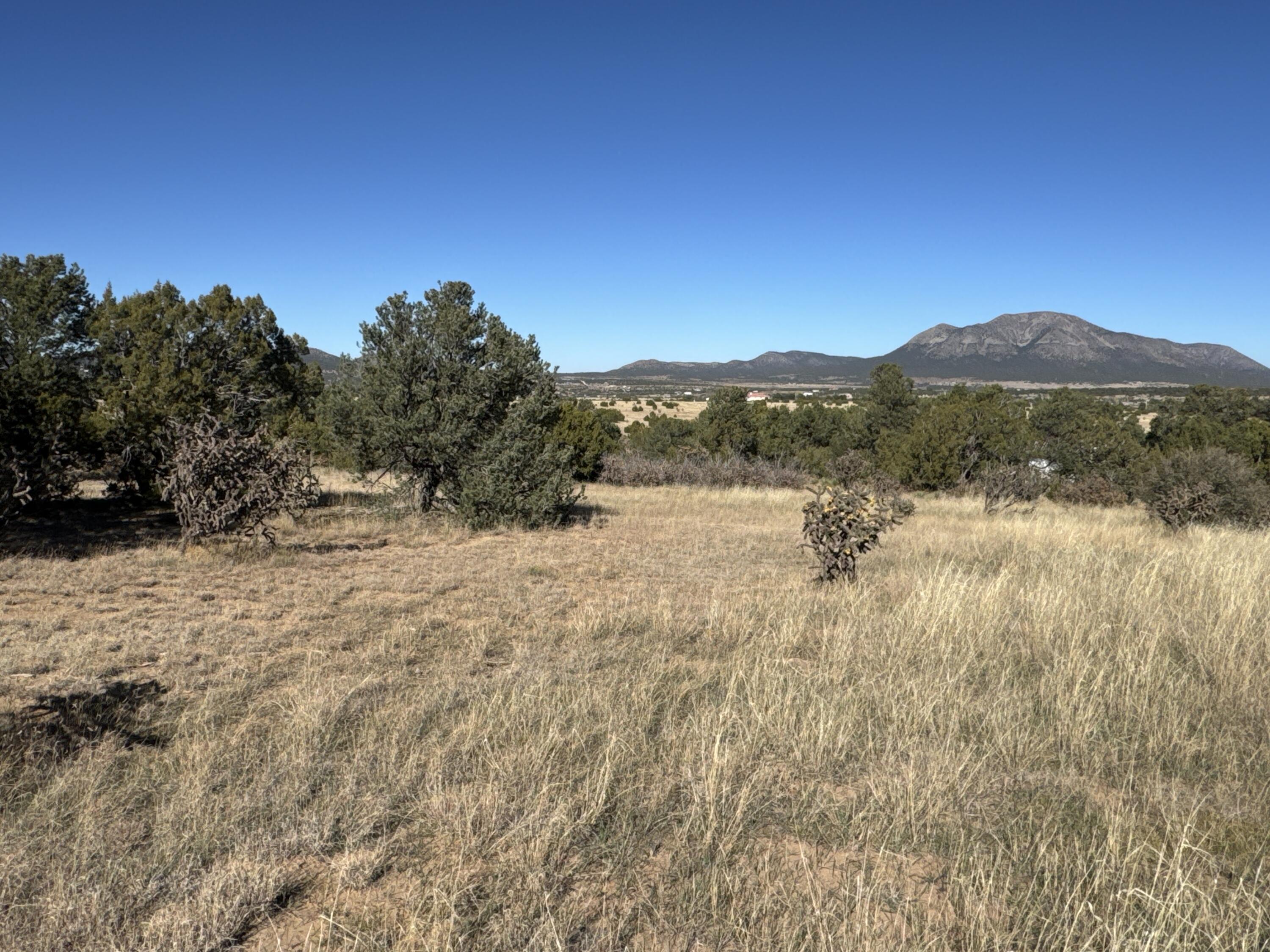 Photo 9 — Lot 254 Bolivar Loop