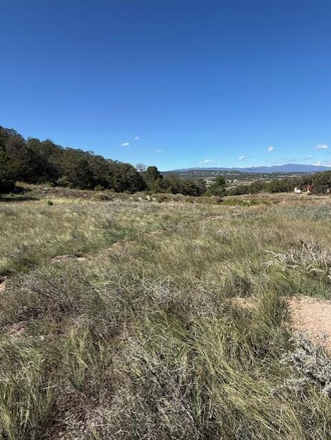 Photo 4 —  0 Edgewood Road