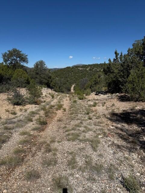 Photo 2 —  0 Edgewood Road