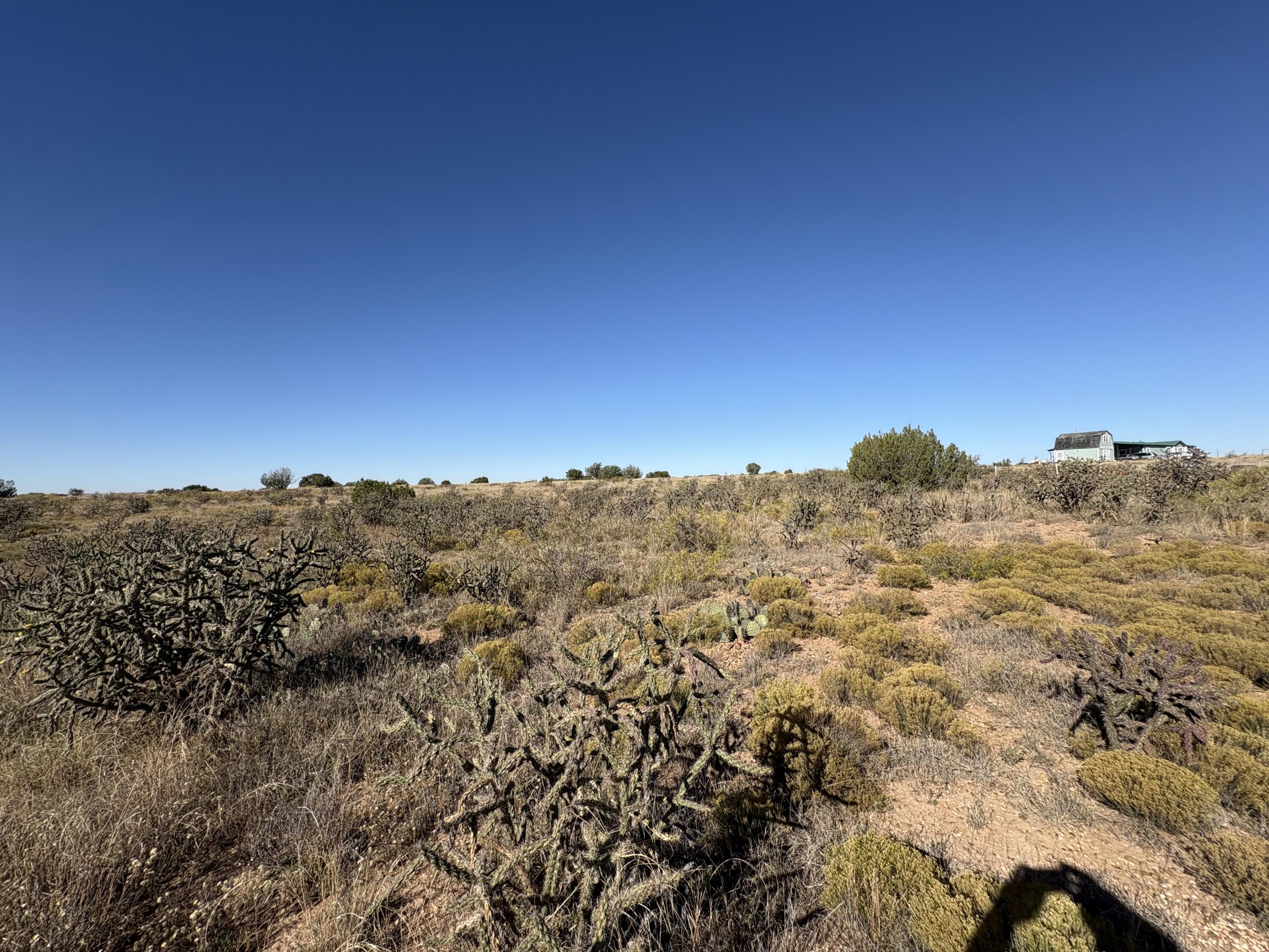 Lot 10 Quail, , NM 88119