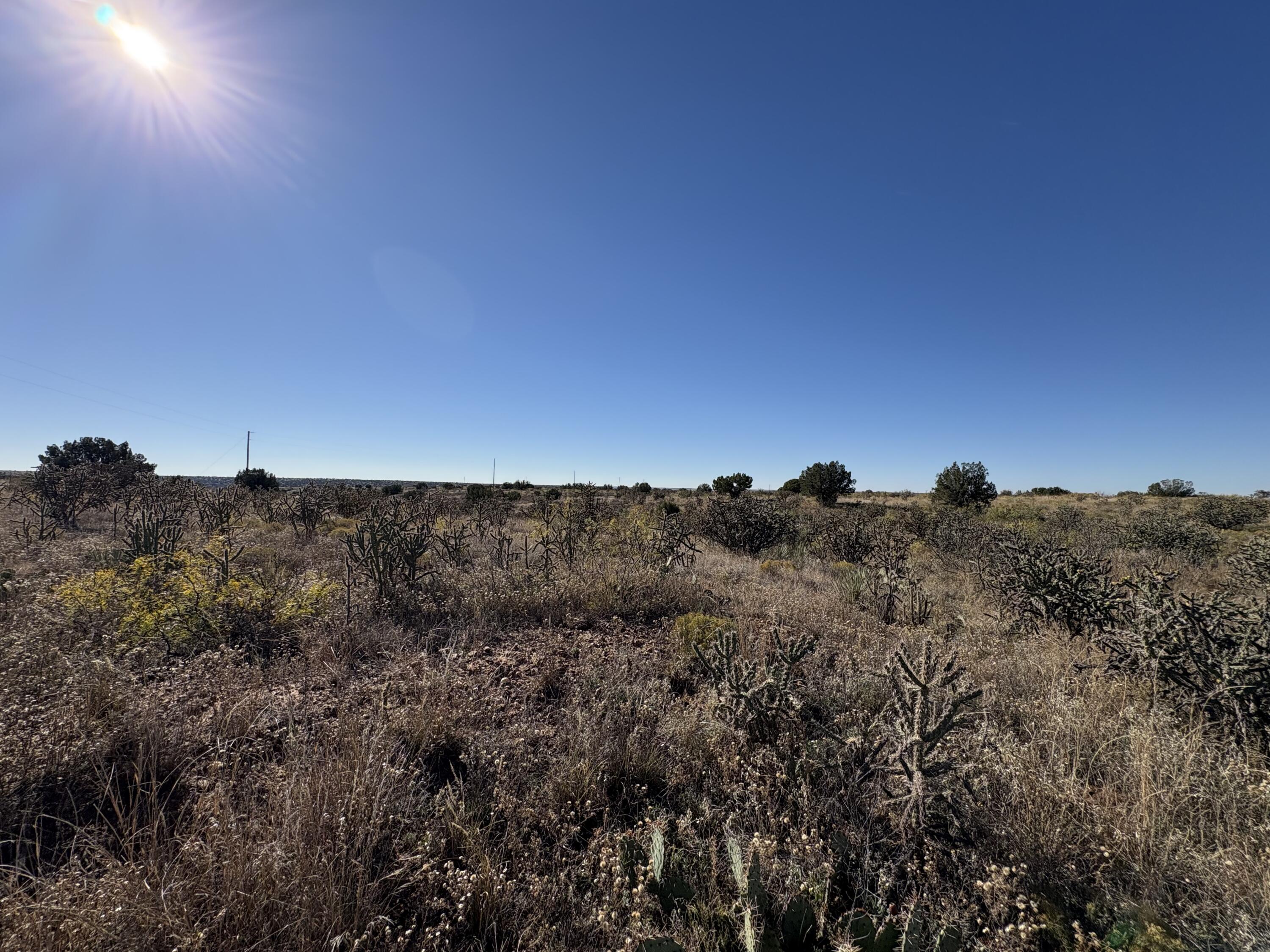 Photo 5 — Lot 9 Quail Lane