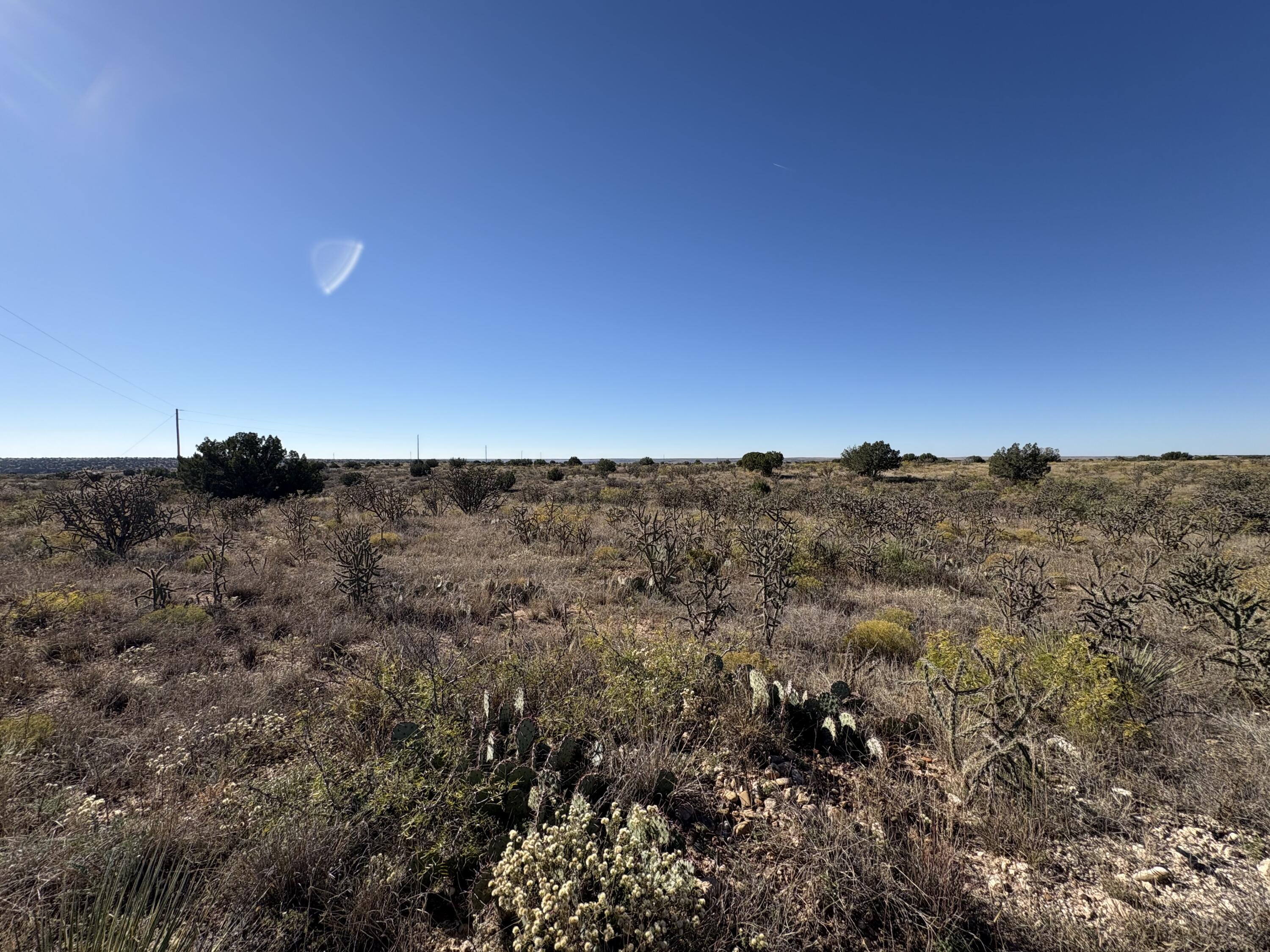 Photo 4 — Lot 9 Quail Lane
