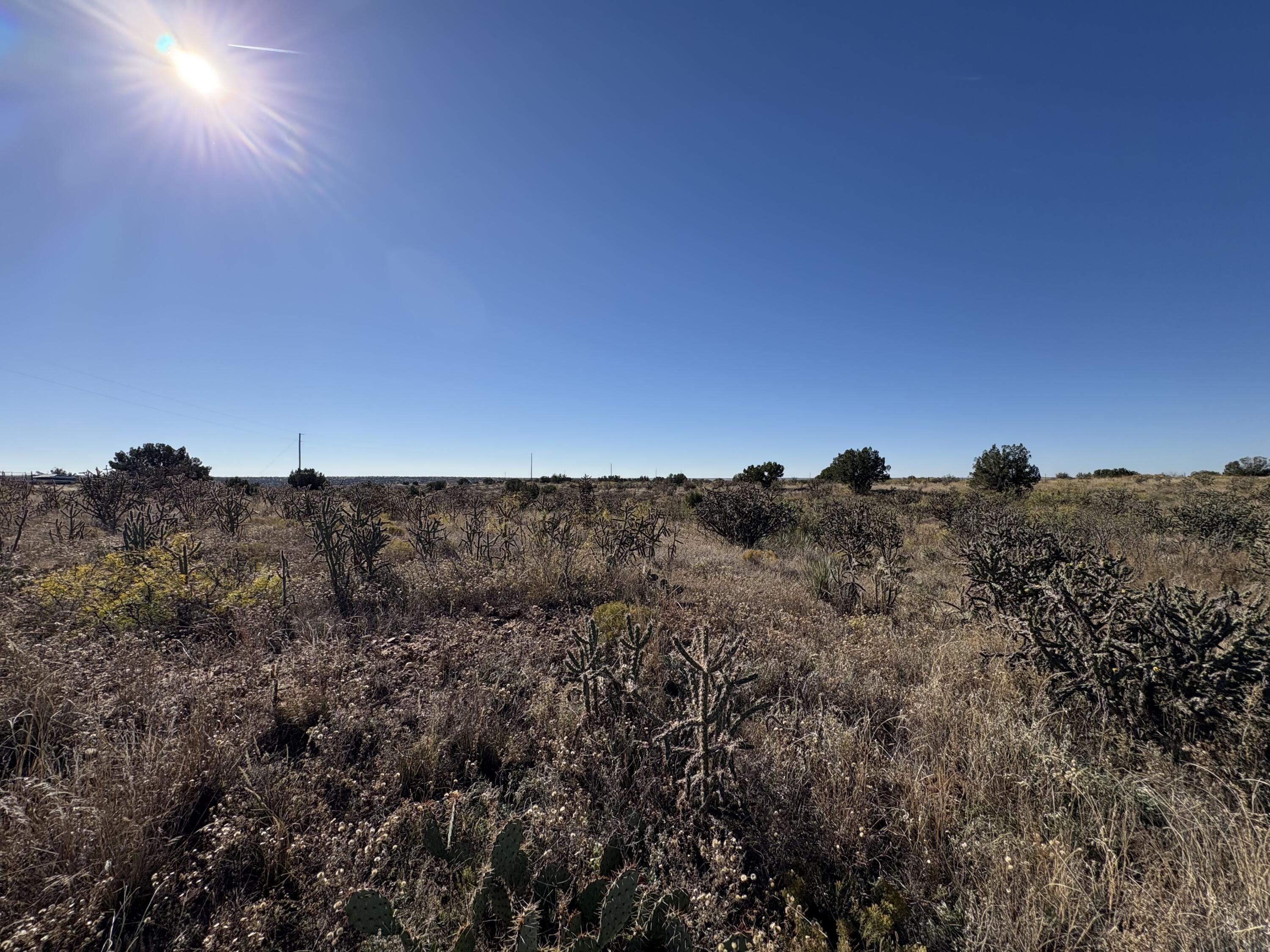 Photo 3 — Lot 9 Quail Lane