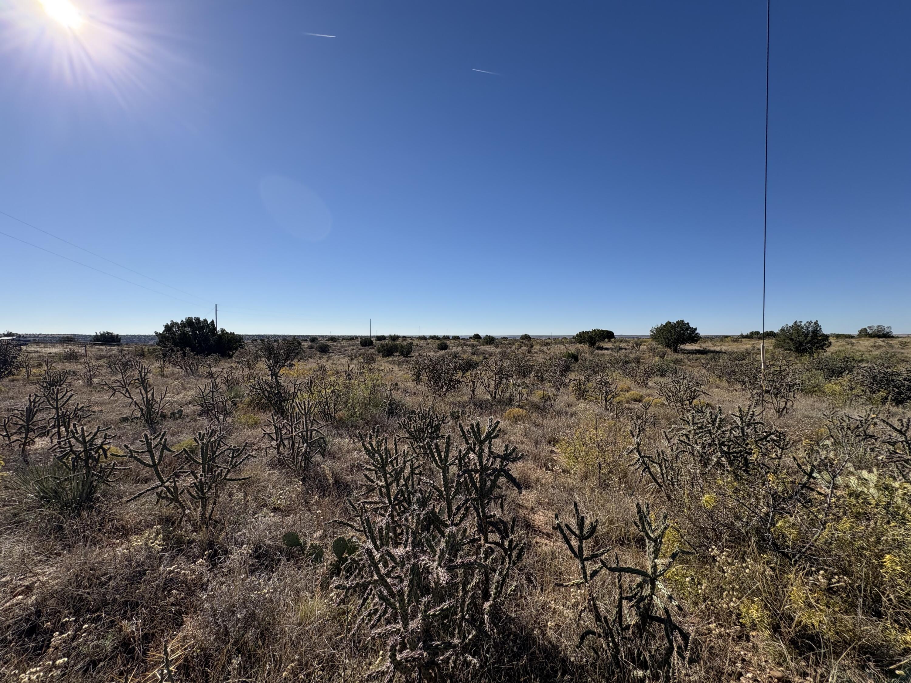 Photo 2 — Lot 9 Quail Lane