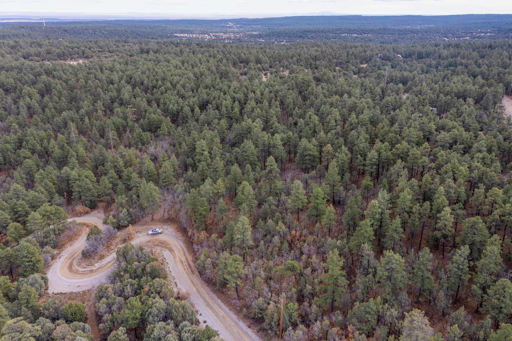Photo 2 — 21 Estrella Vista Drive