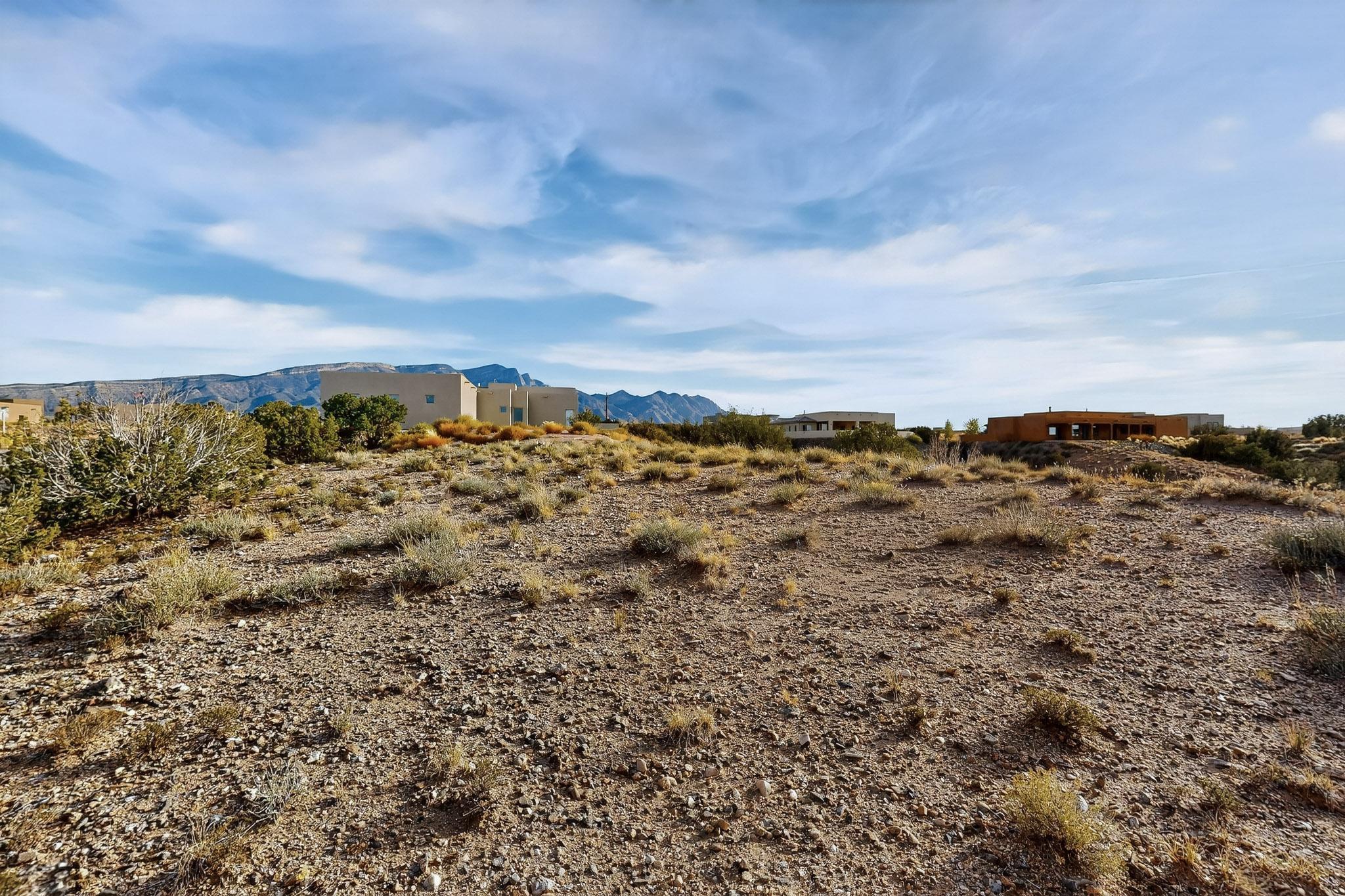 Photo 6 —  Brazos Trail