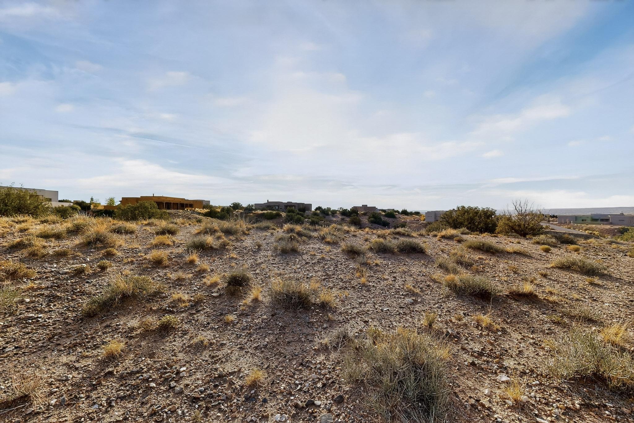 Photo 7 —  Brazos Trail