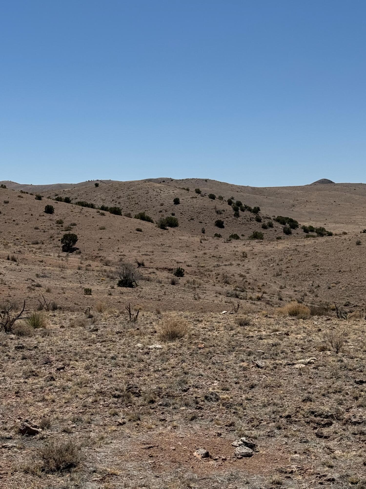 Photo 9 — Lot 18 Willow Springs Ranch