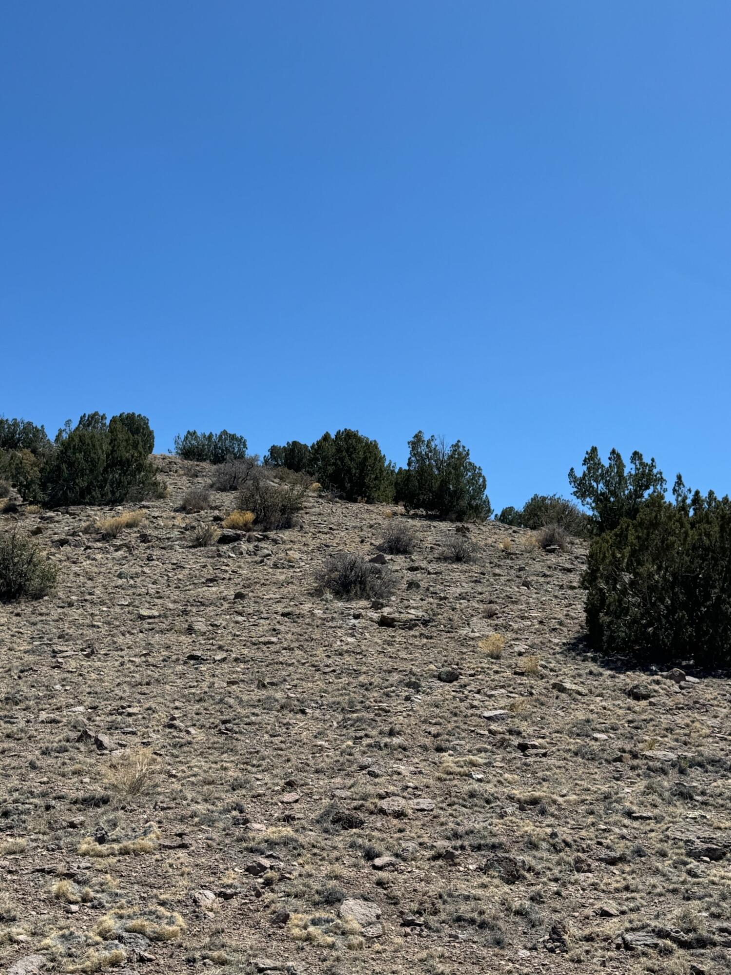 Photo 10 — Lot 18 Willow Springs Ranch