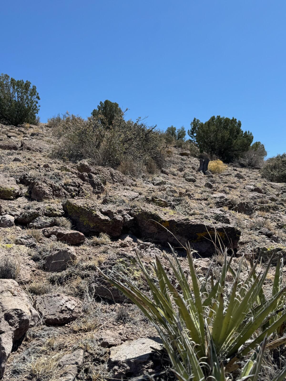 Photo 11 — Lot 18 Willow Springs Ranch