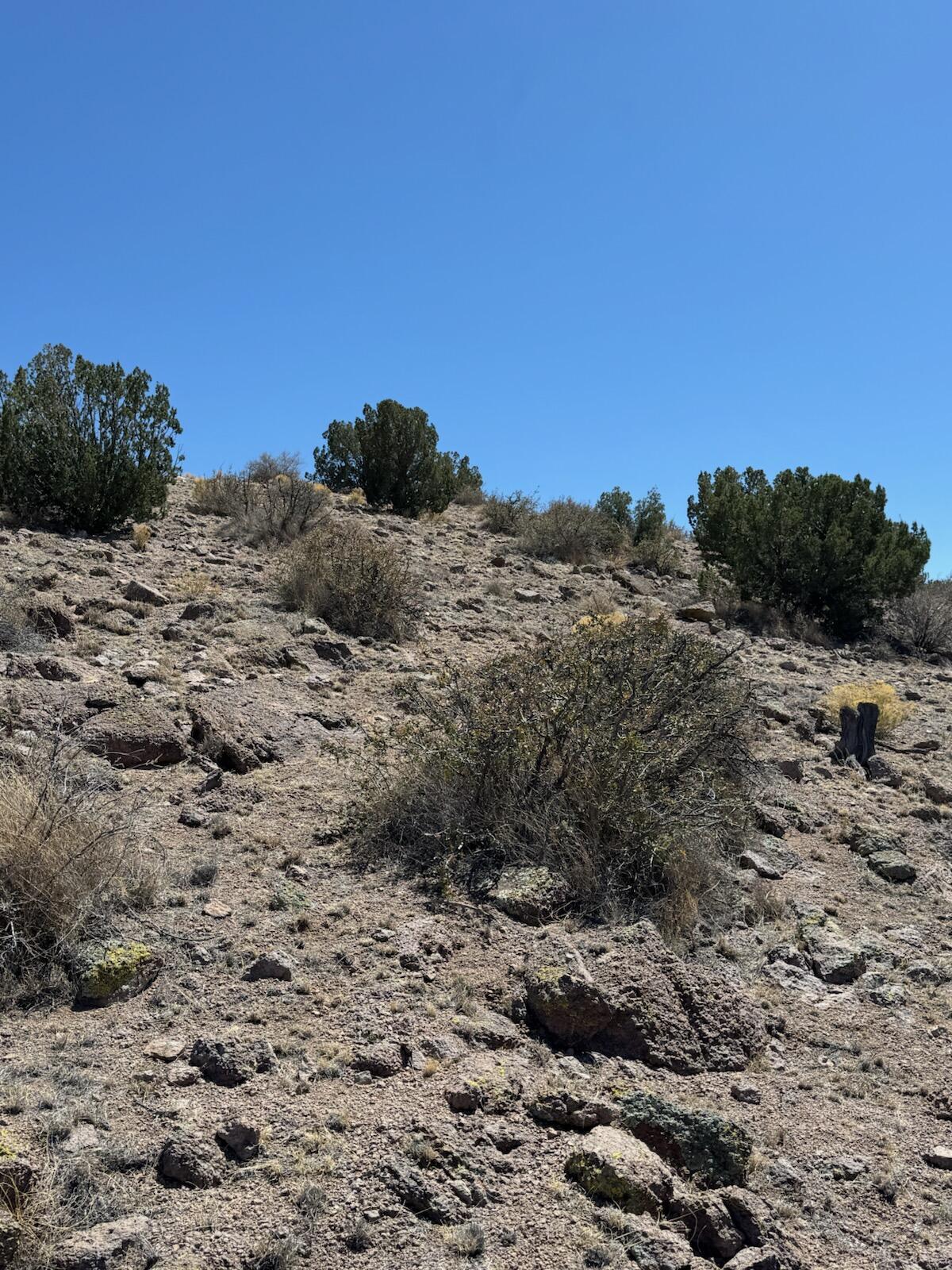 Photo 12 — Lot 18 Willow Springs Ranch