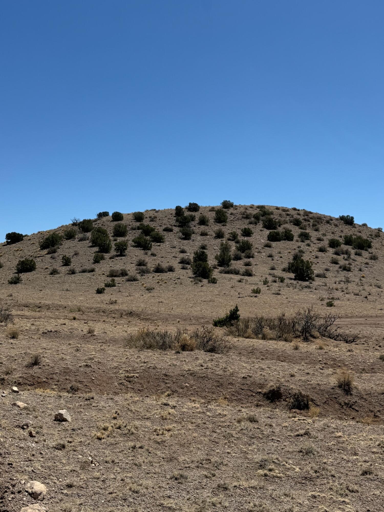 Photo 14 — Lot 18 Willow Springs Ranch