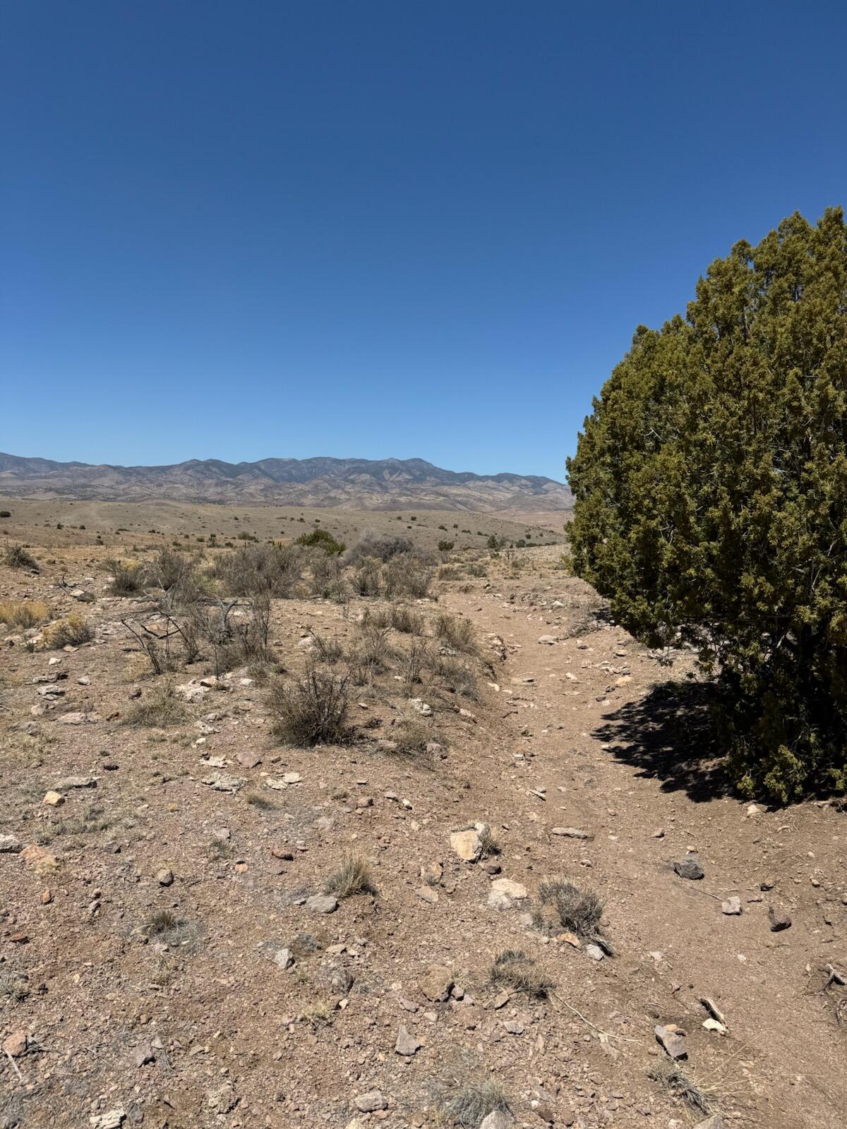 Photo 15 — Lot 18 Willow Springs Ranch