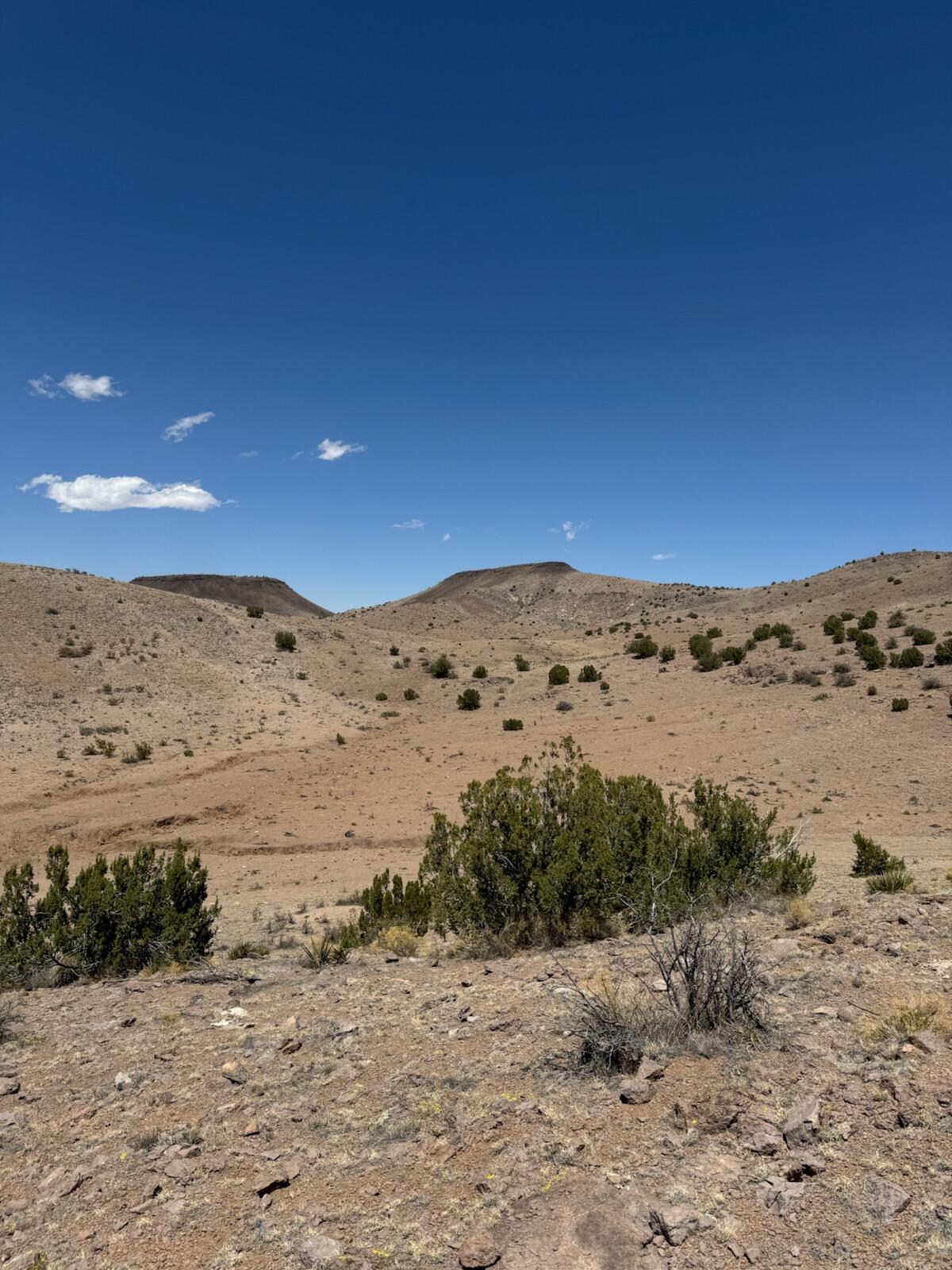 Photo 16 — Lot 18 Willow Springs Ranch
