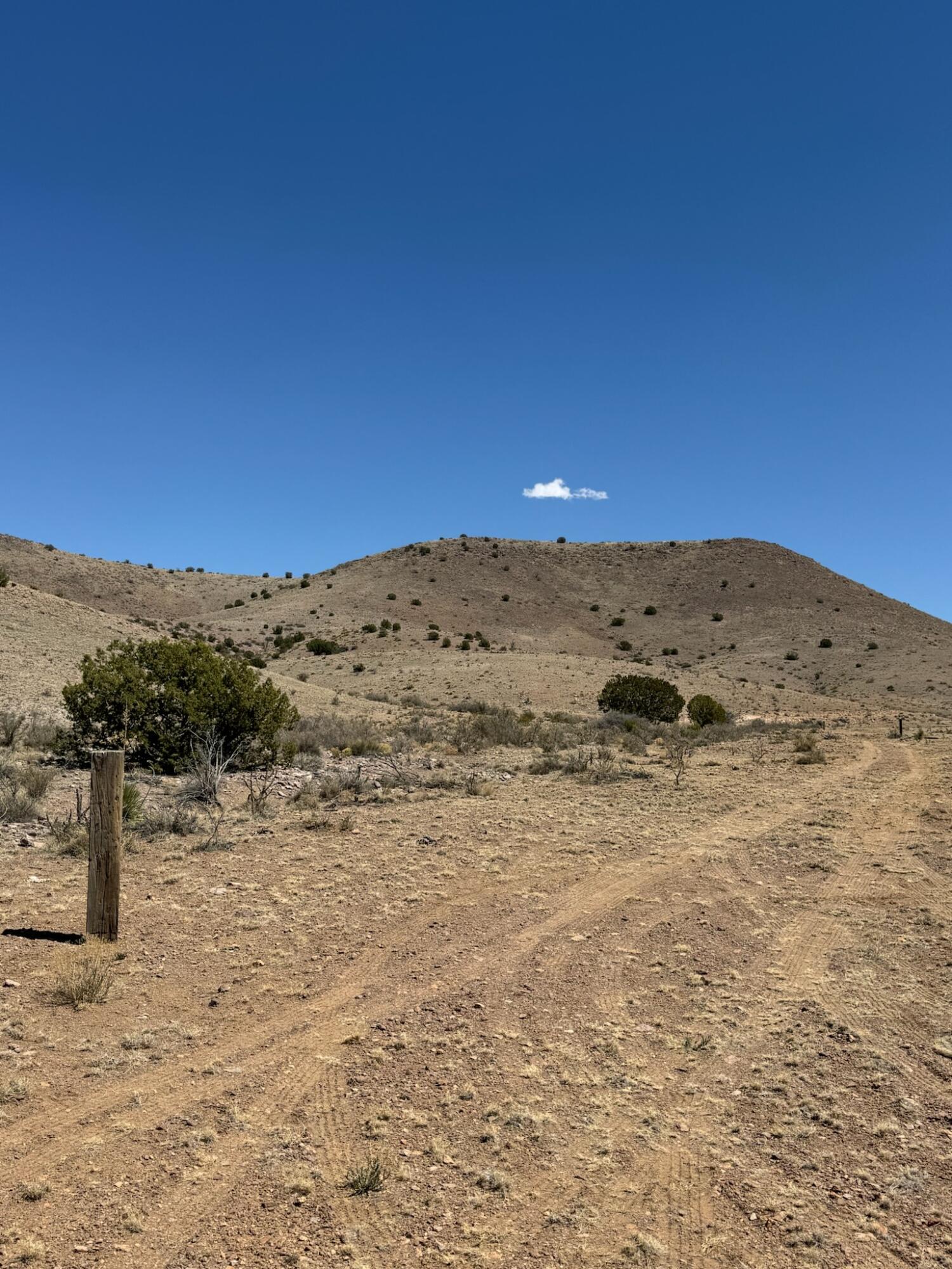 Photo 17 — Lot 18 Willow Springs Ranch