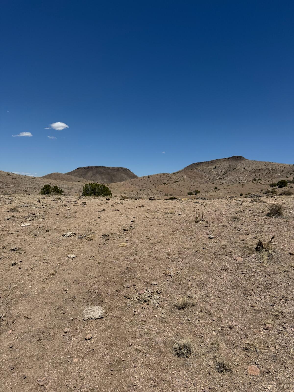 Photo 19 — Lot 18 Willow Springs Ranch