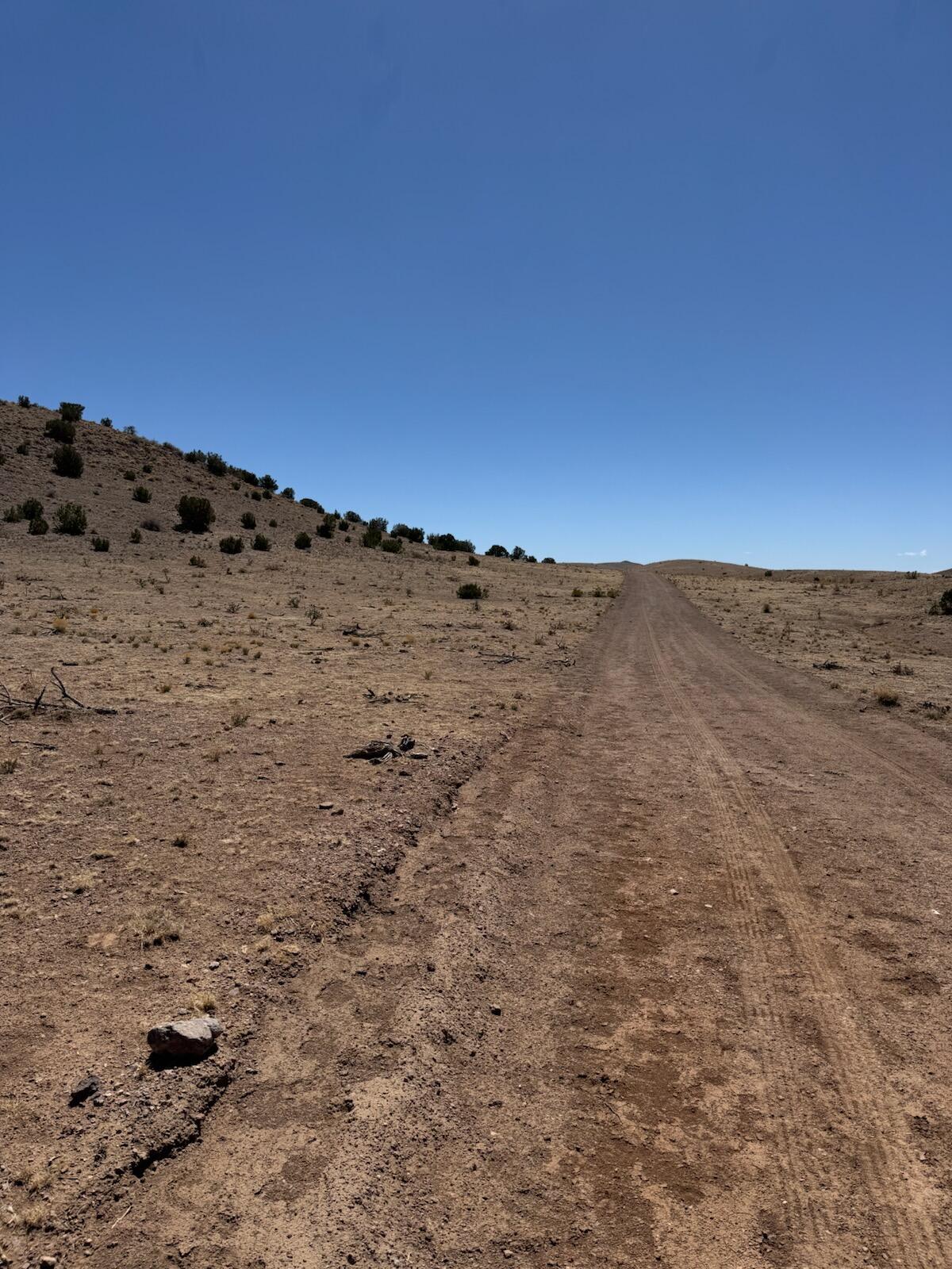 Photo 3 — Lot 18 Willow Springs Ranch