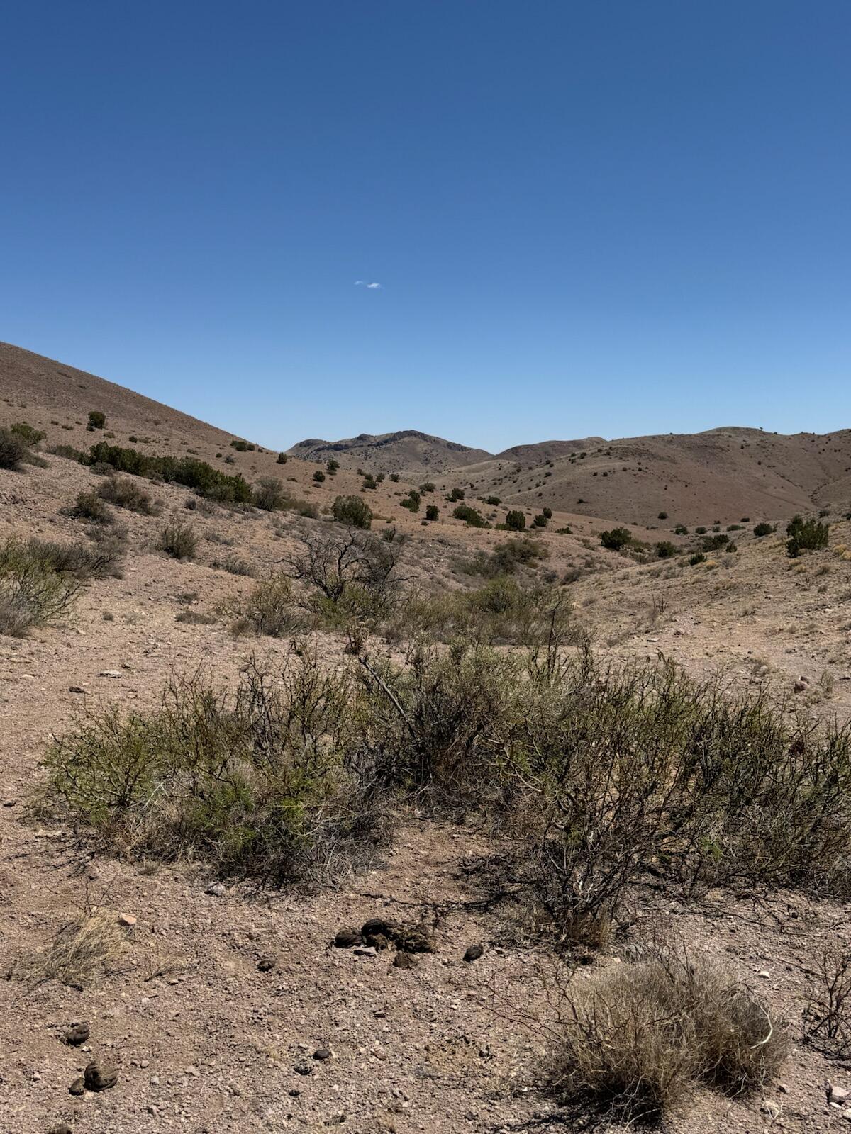 Photo 4 — Lot 18 Willow Springs Ranch