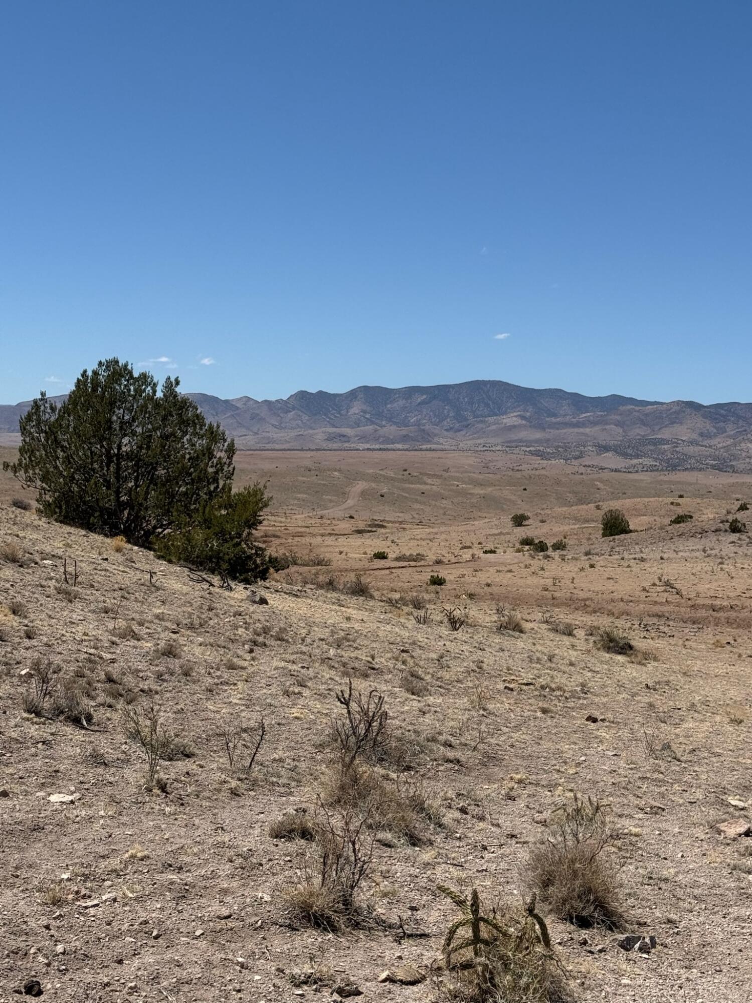 Photo 5 — Lot 18 Willow Springs Ranch