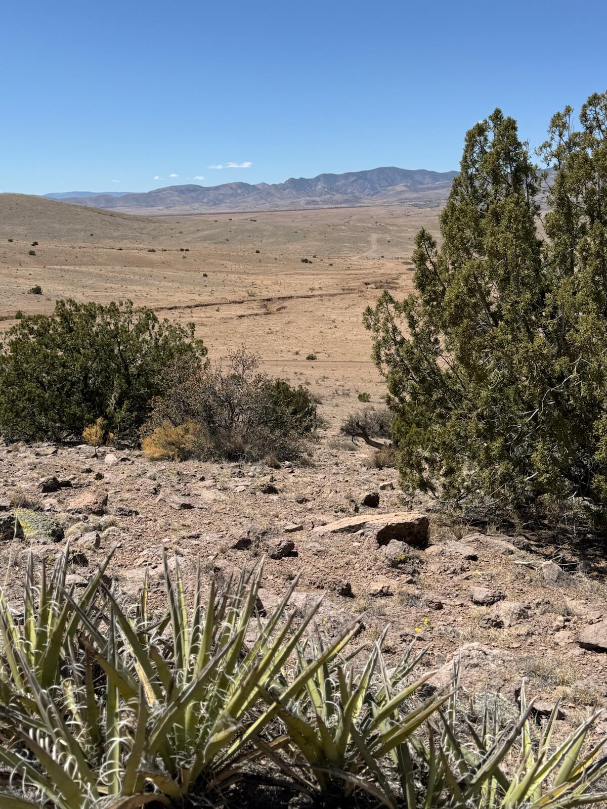 Photo 6 — Lot 18 Willow Springs Ranch