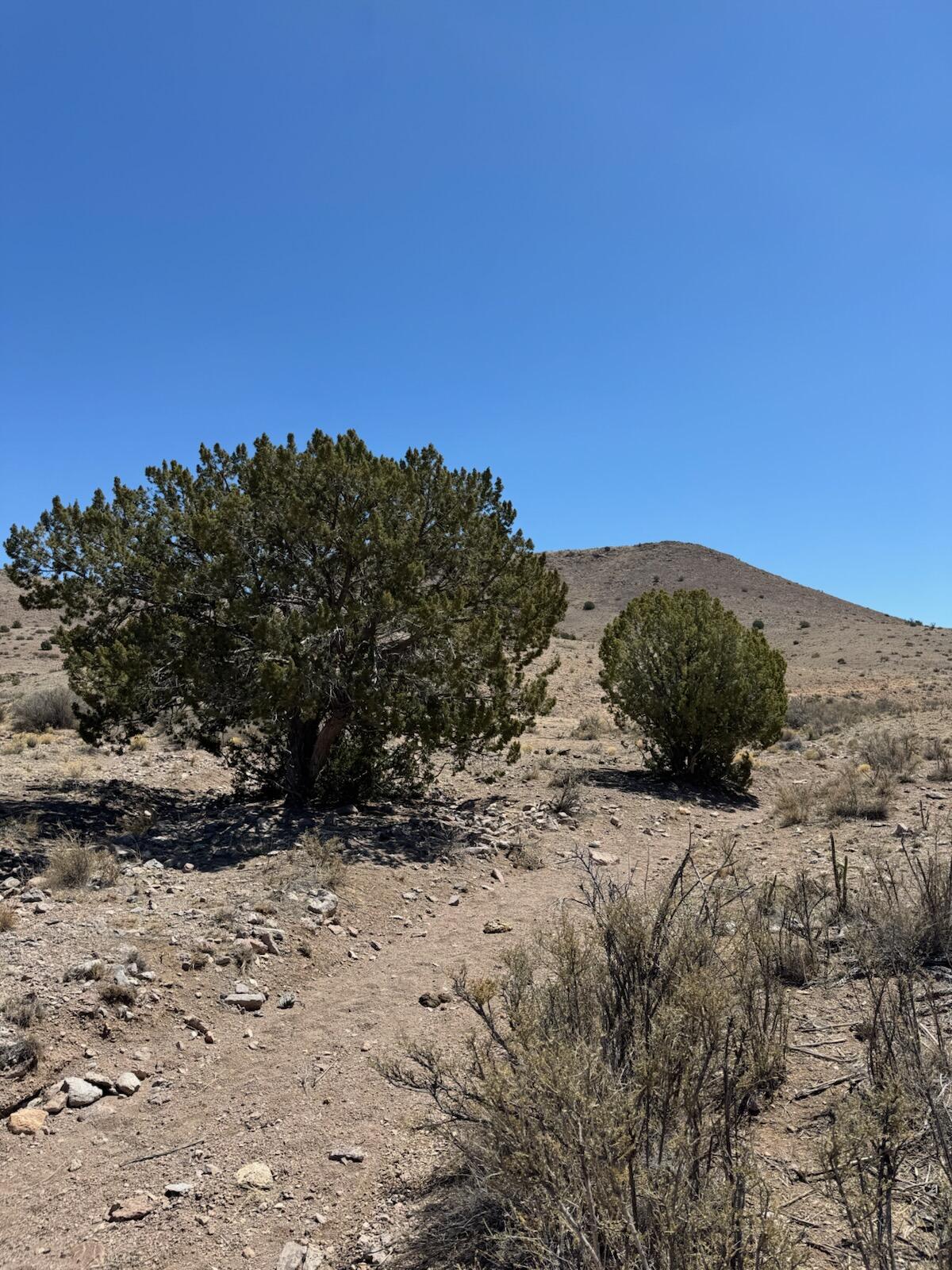 Photo 7 — Lot 18 Willow Springs Ranch