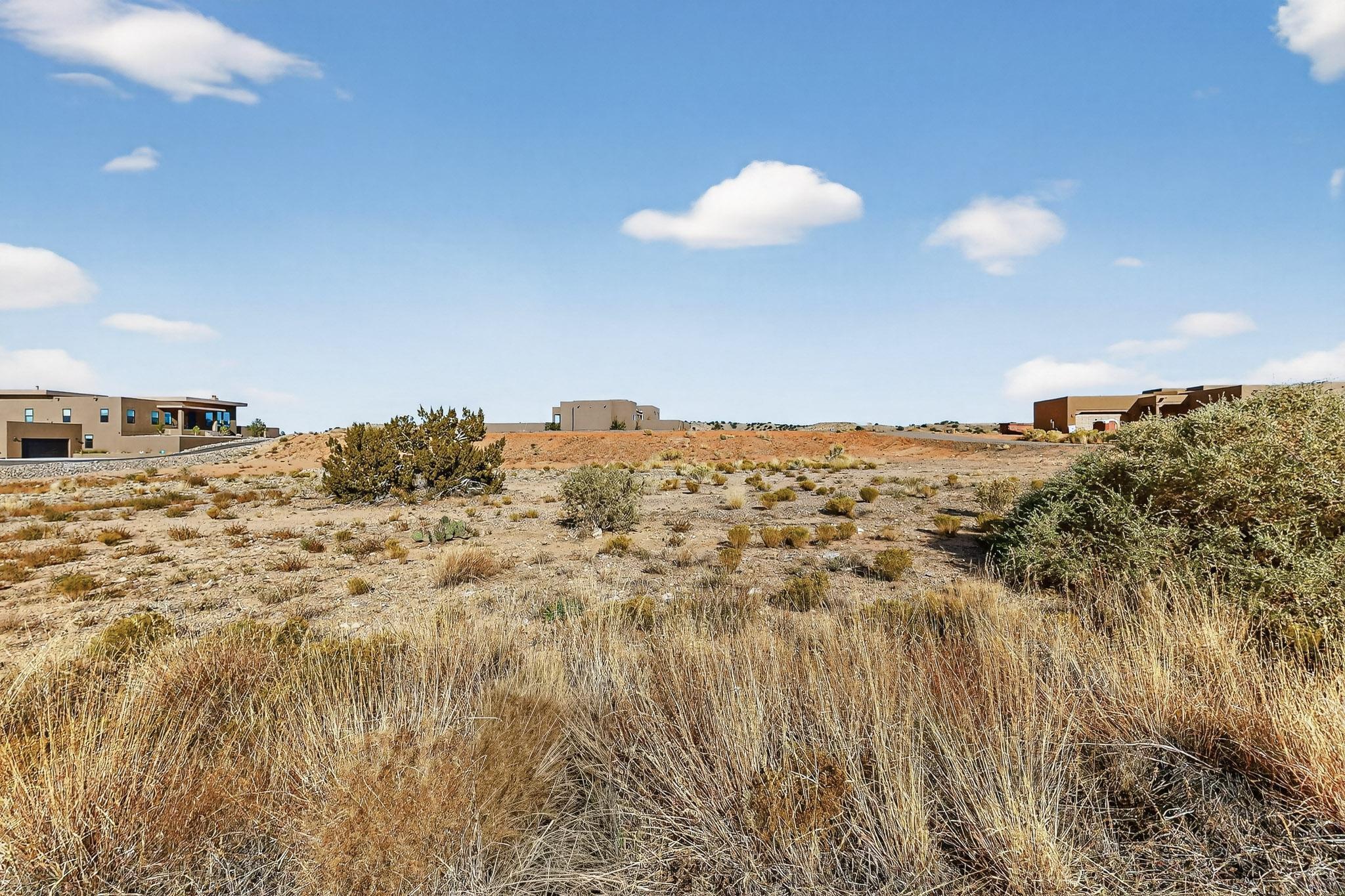 Photo 11 —  Bobcat Trail (Lot)