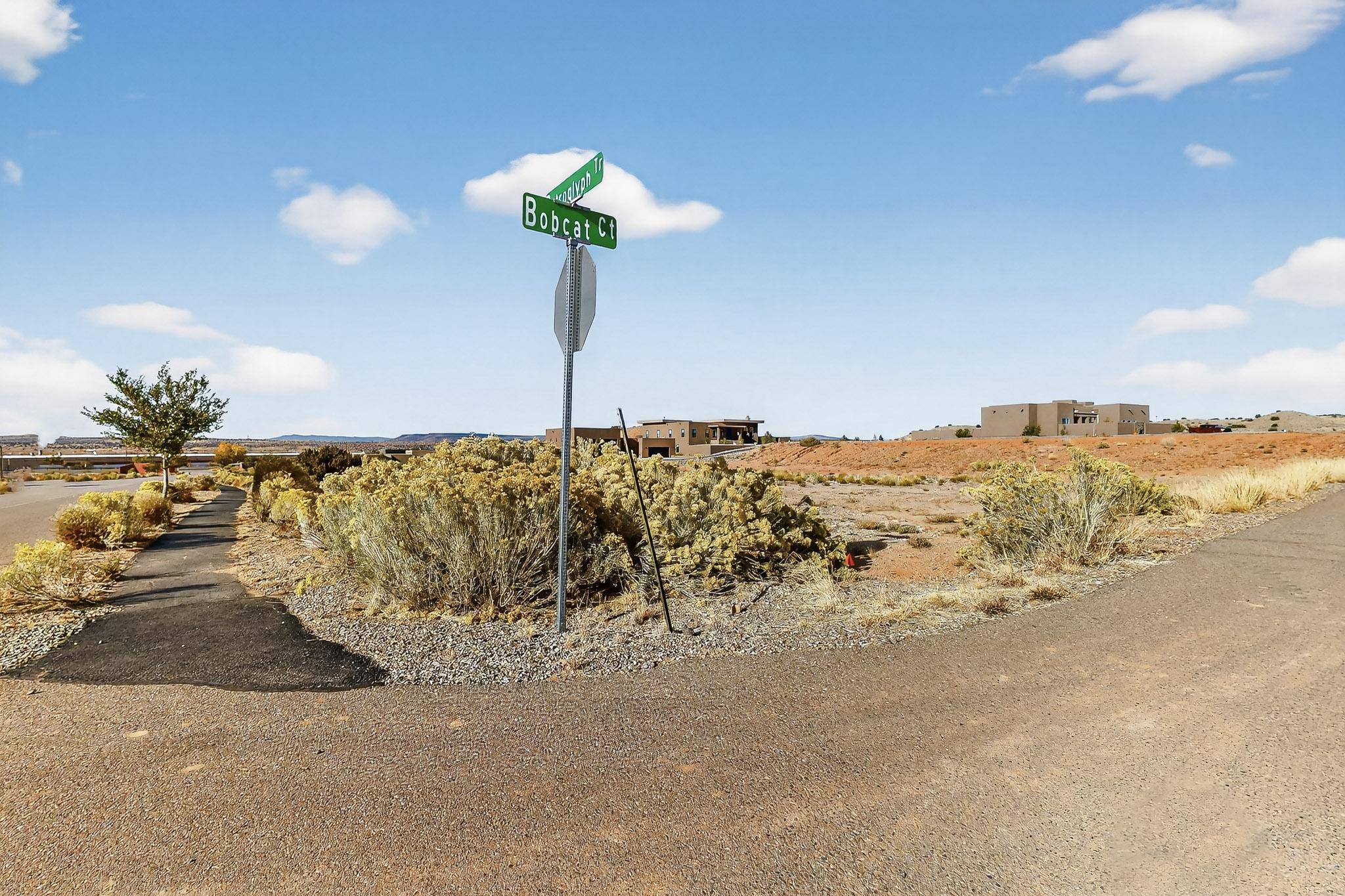 Photo 12 —  Bobcat Trail (Lot)