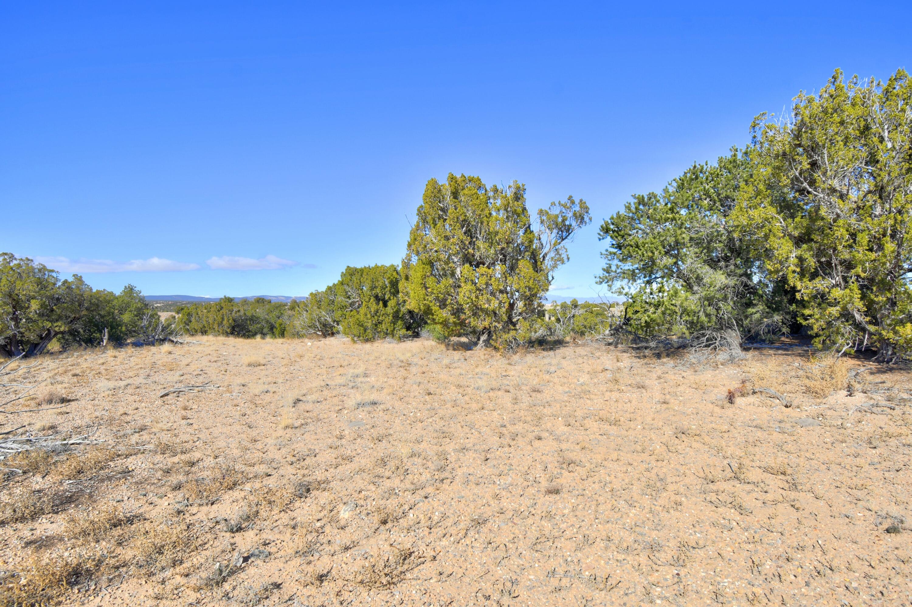 Photo 13 — 57 Cottonwood Trail