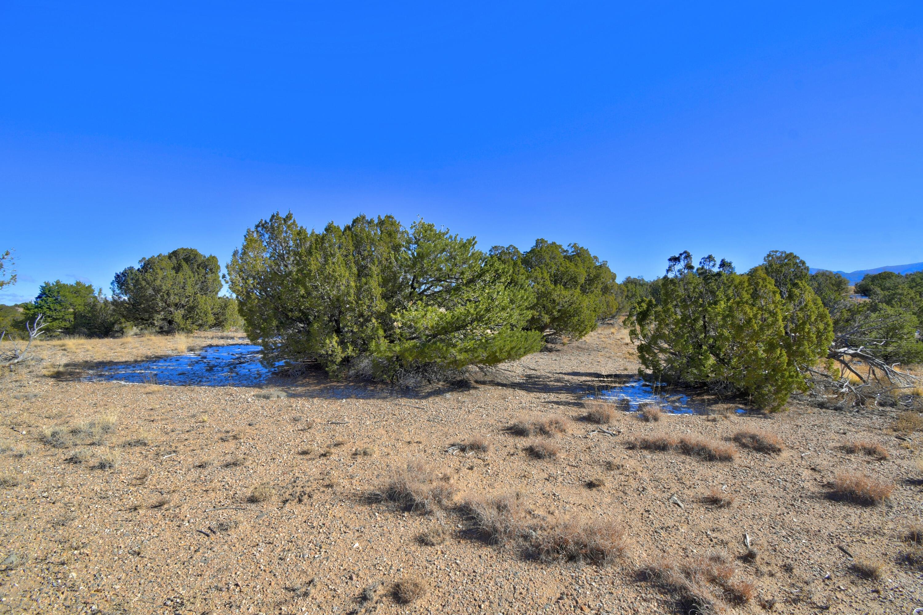 Photo 14 — 57 Cottonwood Trail