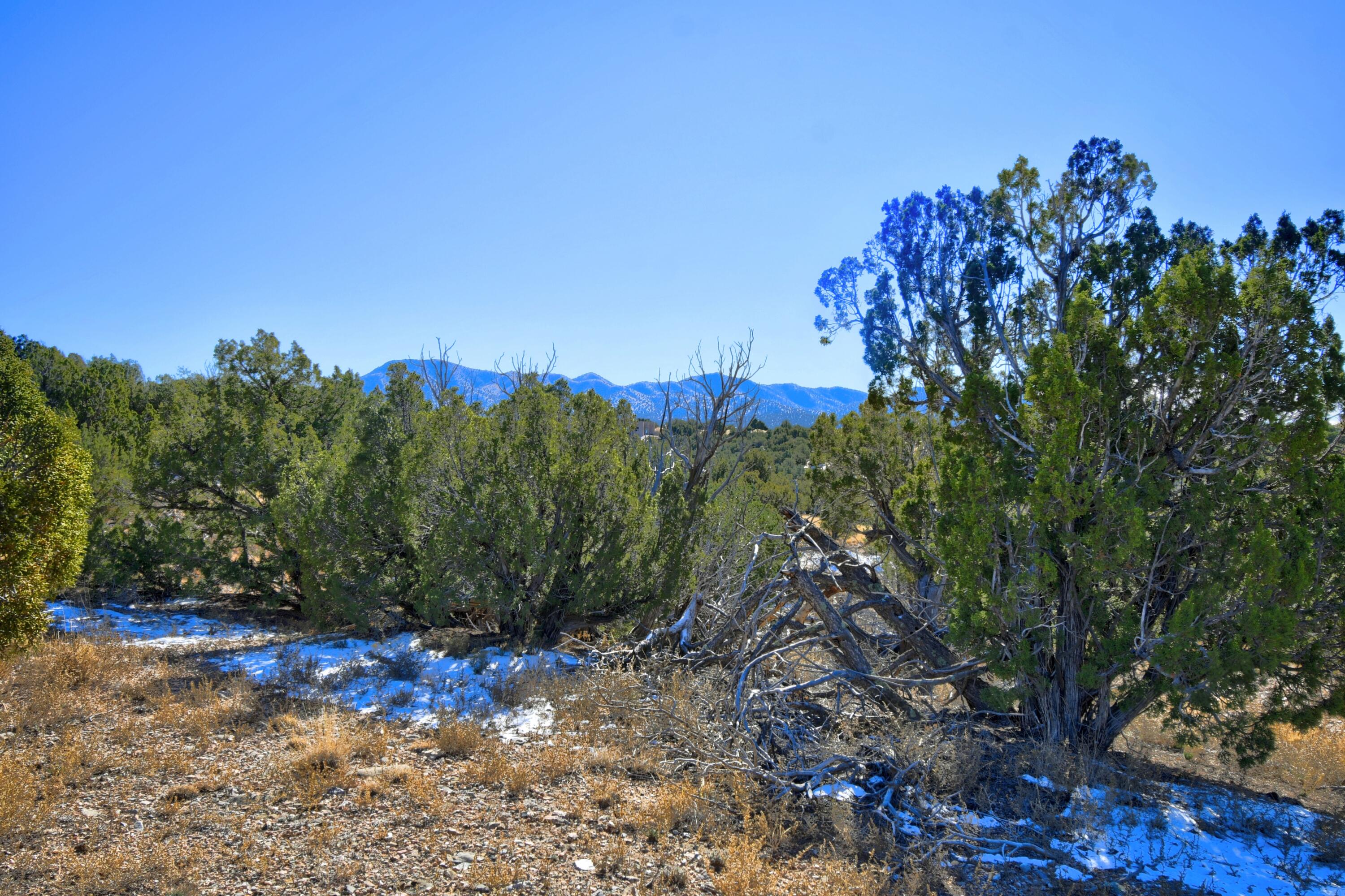 Photo 17 — 57 Cottonwood Trail