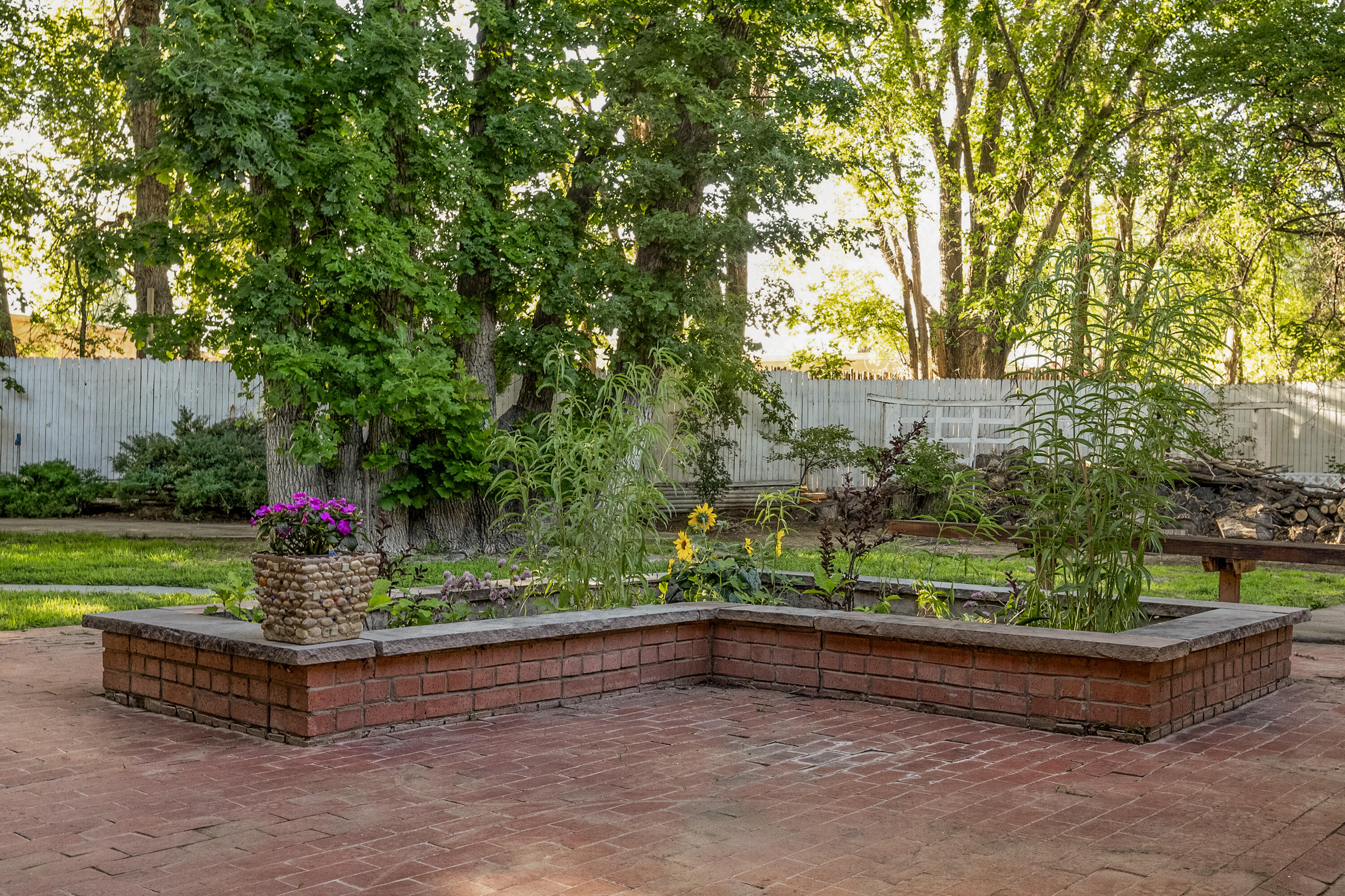 Photo 18 — 9707 Rio Grande Boulevard NW