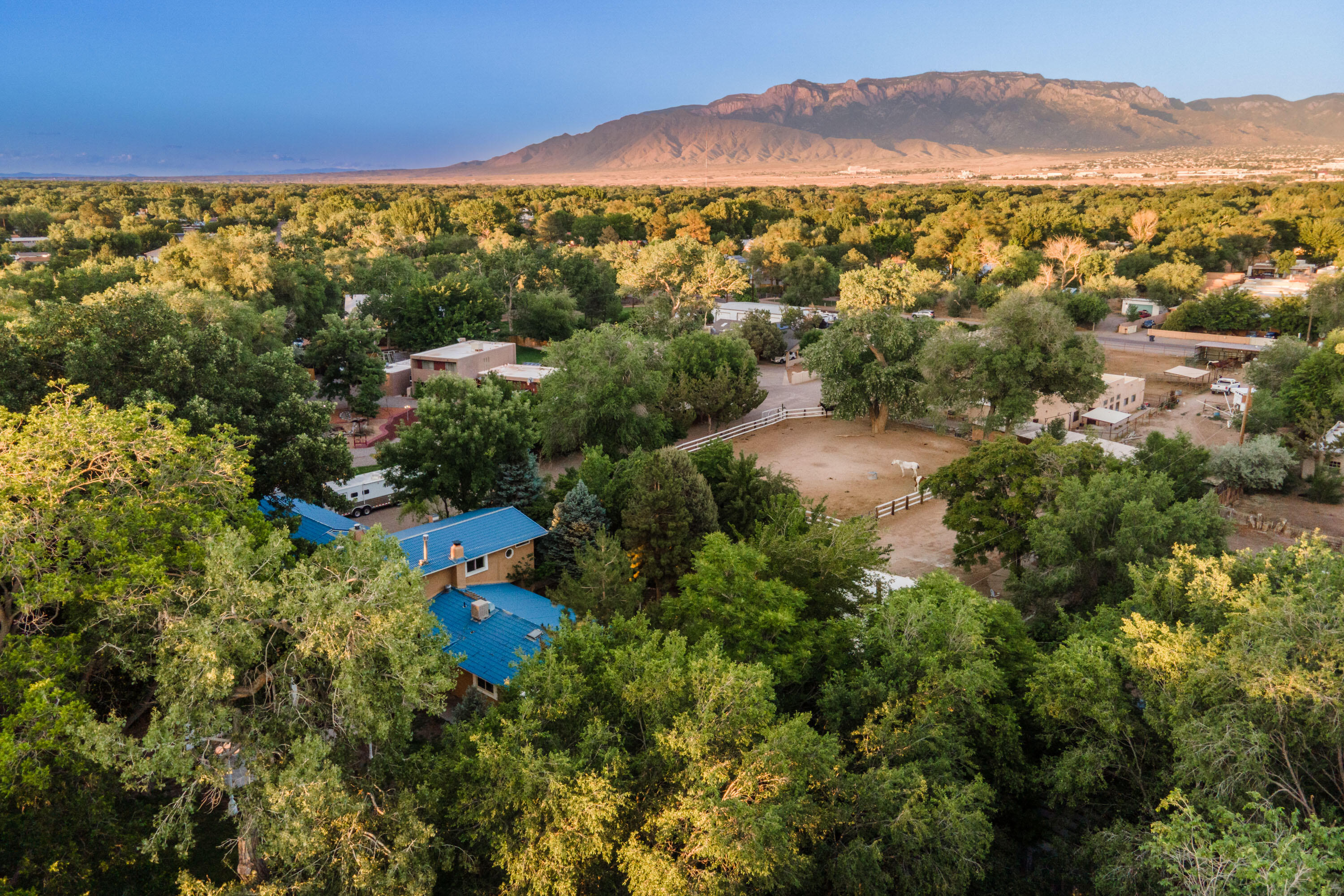 Photo 9 — 9707 Rio Grande Boulevard NW