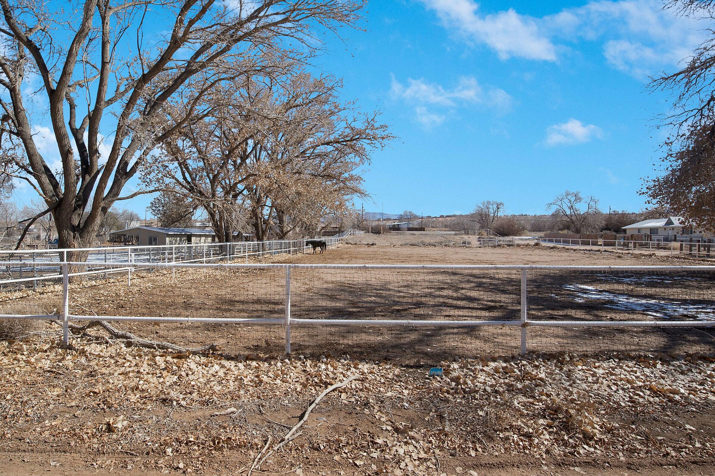 Photo 8 — 0 El Cerro Loop, Los Lunas, NM SW