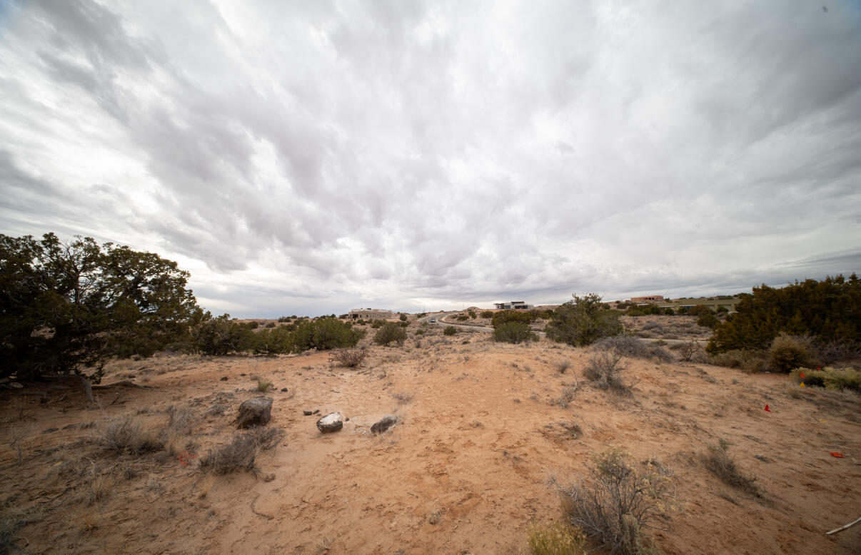 Photo 5 — 2403 Desert Zinnia Road