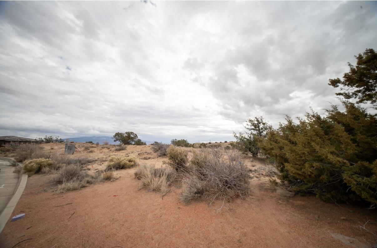 Photo 6 — 2403 Desert Zinnia Road