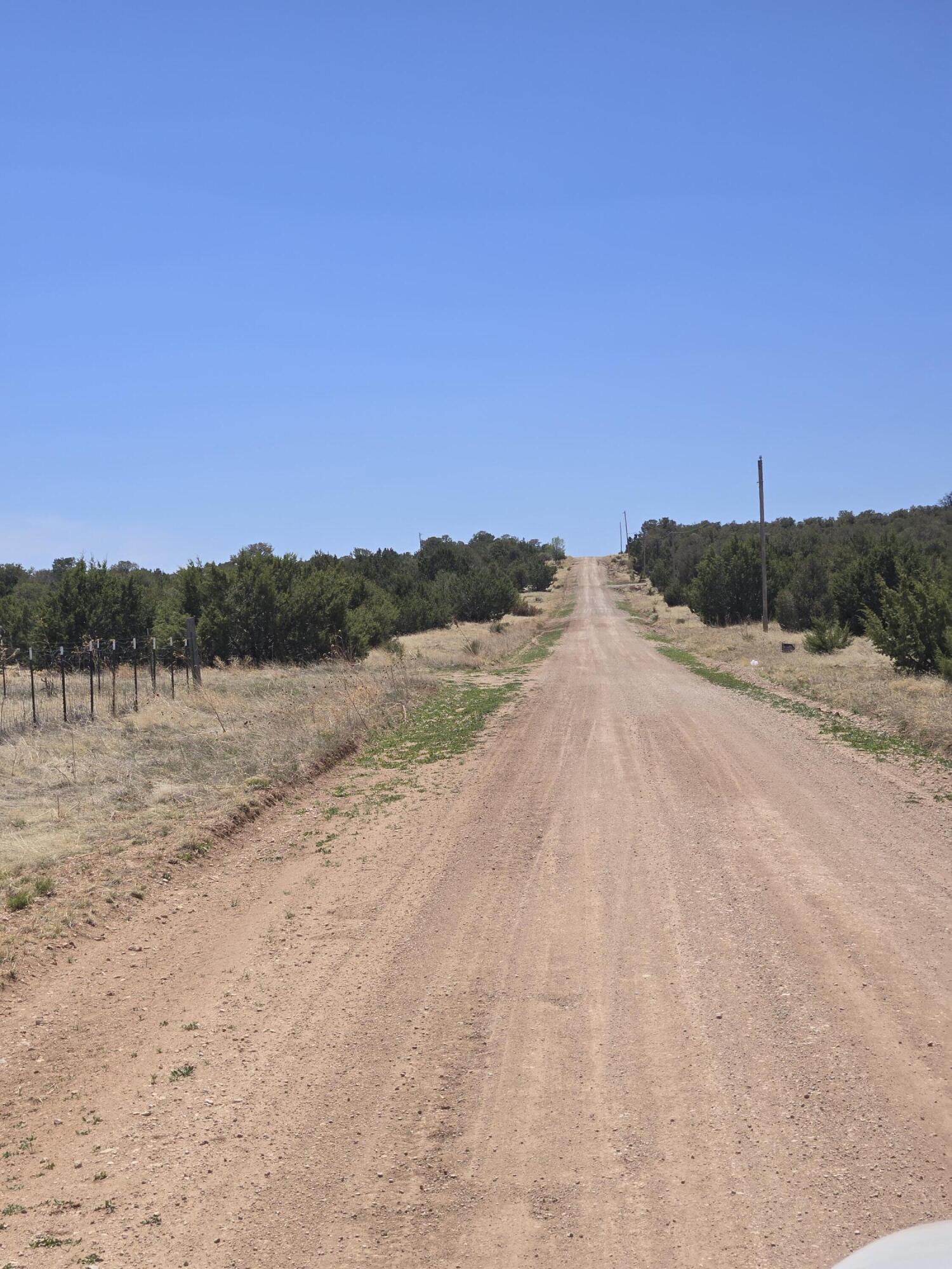 Photo 4 — 0 County Rd A102 15