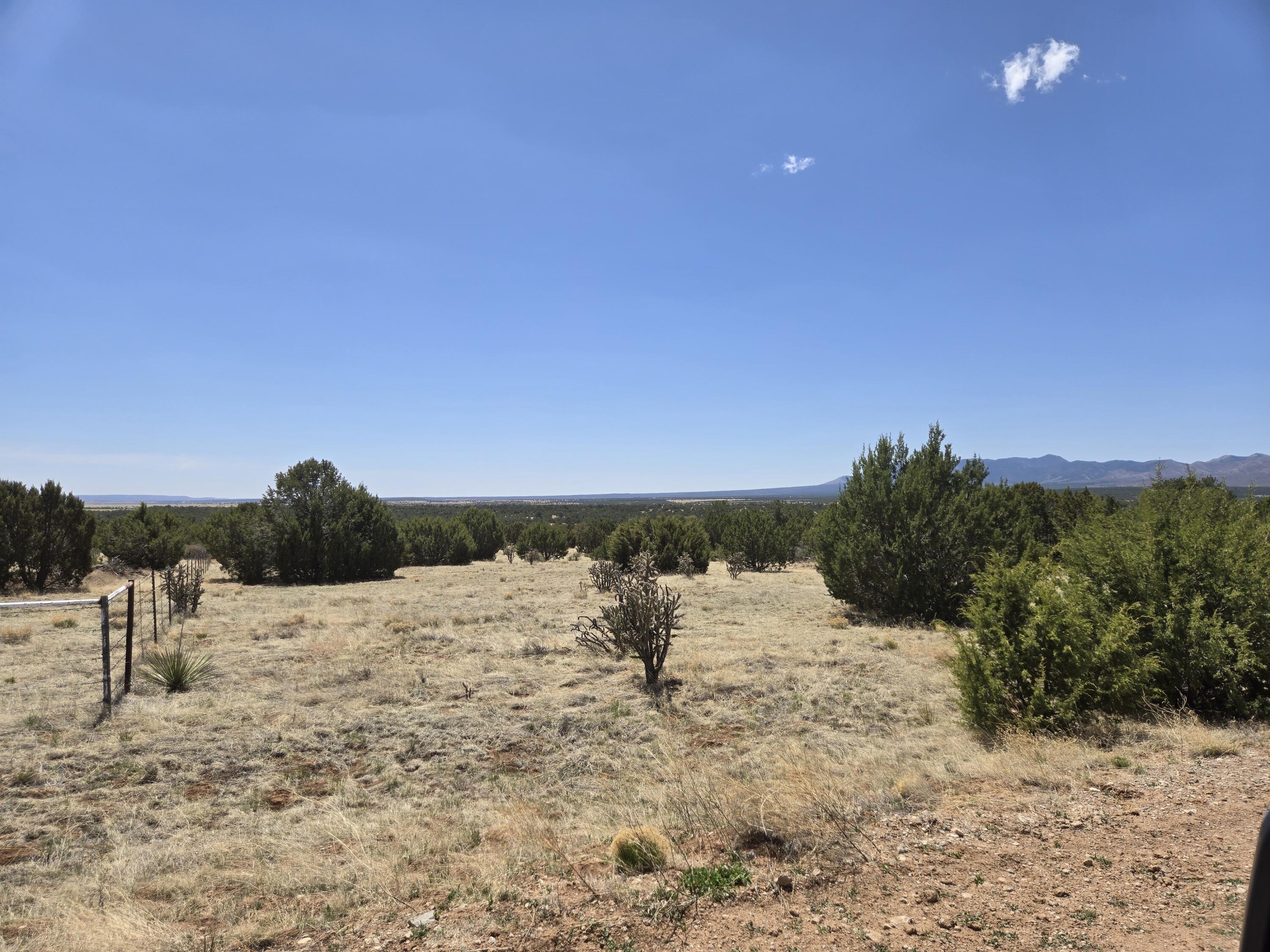 Photo 5 — 0 County Rd A102 15