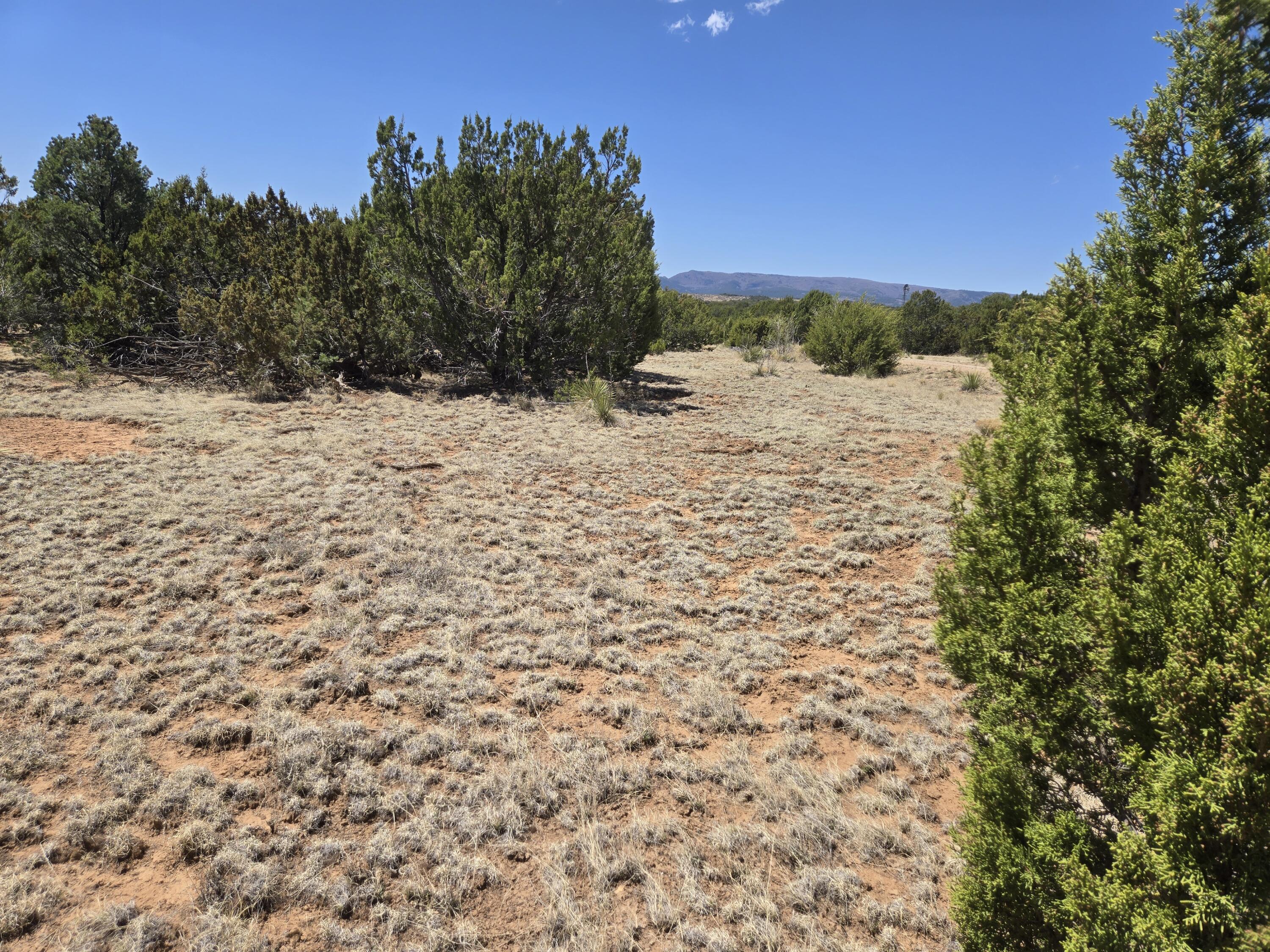 Photo 6 — 0 County Rd A102 15