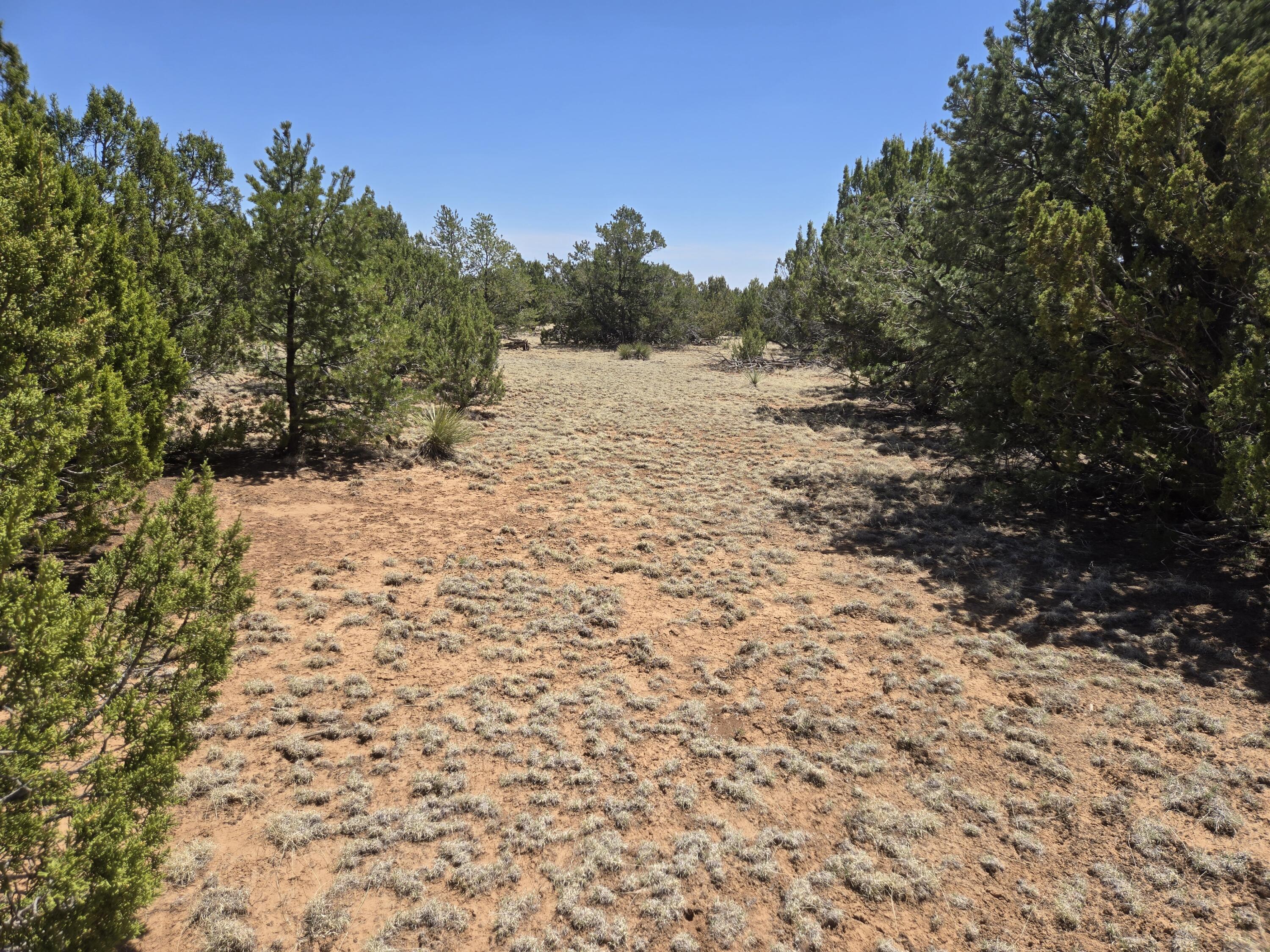 Photo 7 — 0 County Rd A102 15