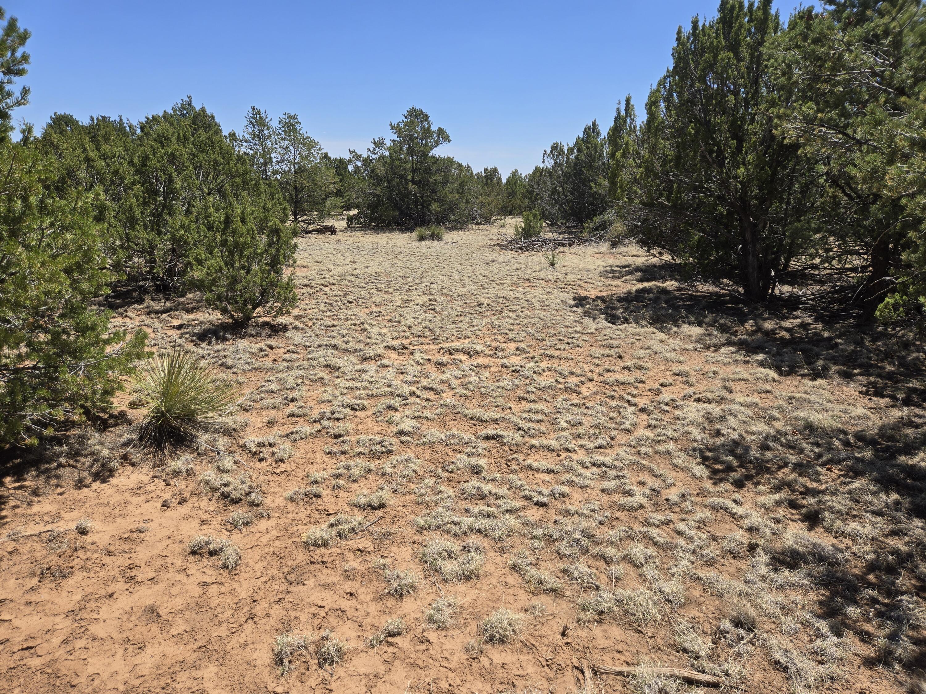 Photo 8 — 0 County Rd A102 15