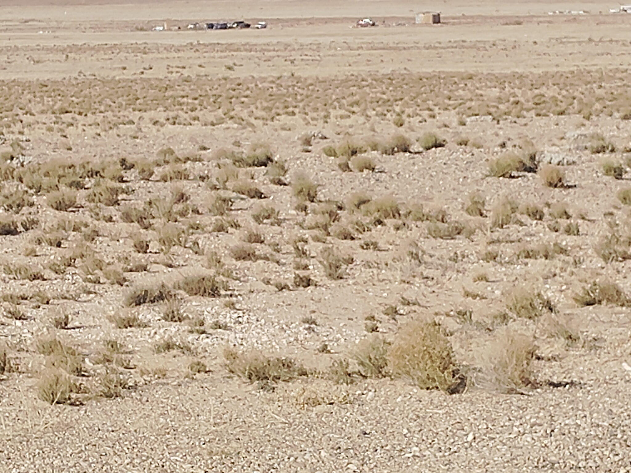 0 Escobar Street, Veguita, NM 87062
