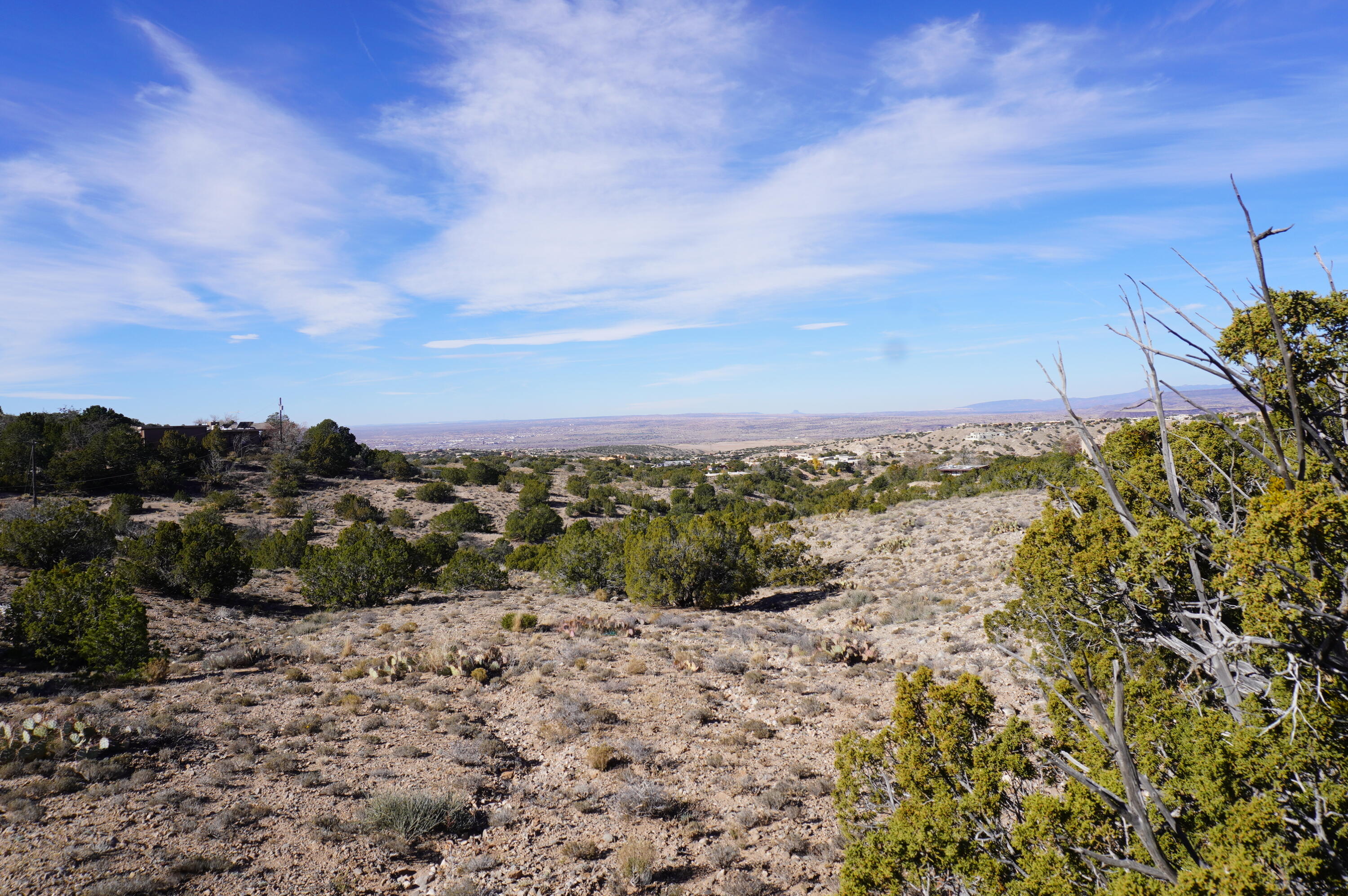 Photo 17 —  Cabezon Road