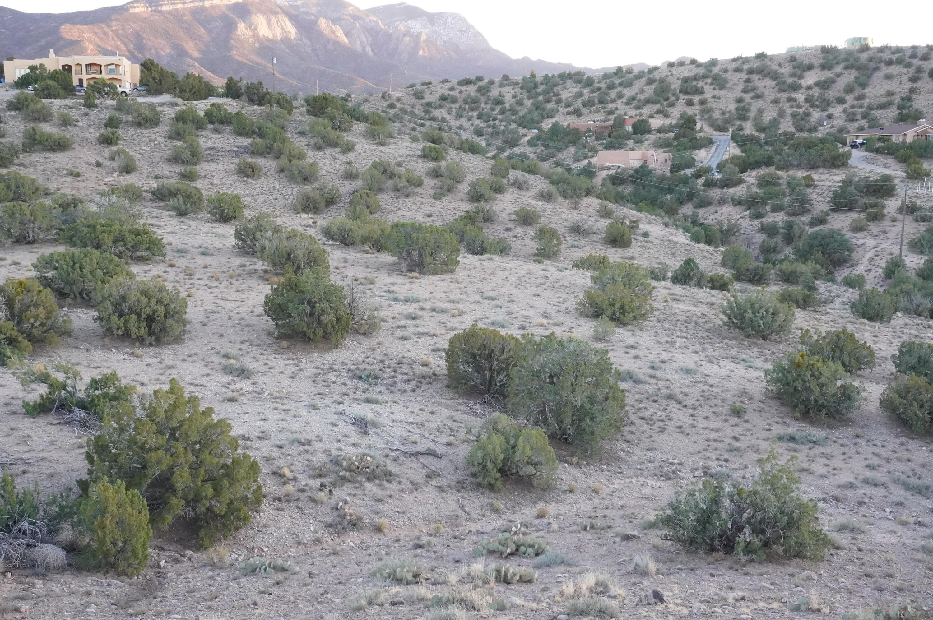 Photo 15 —  Cabezon Road
